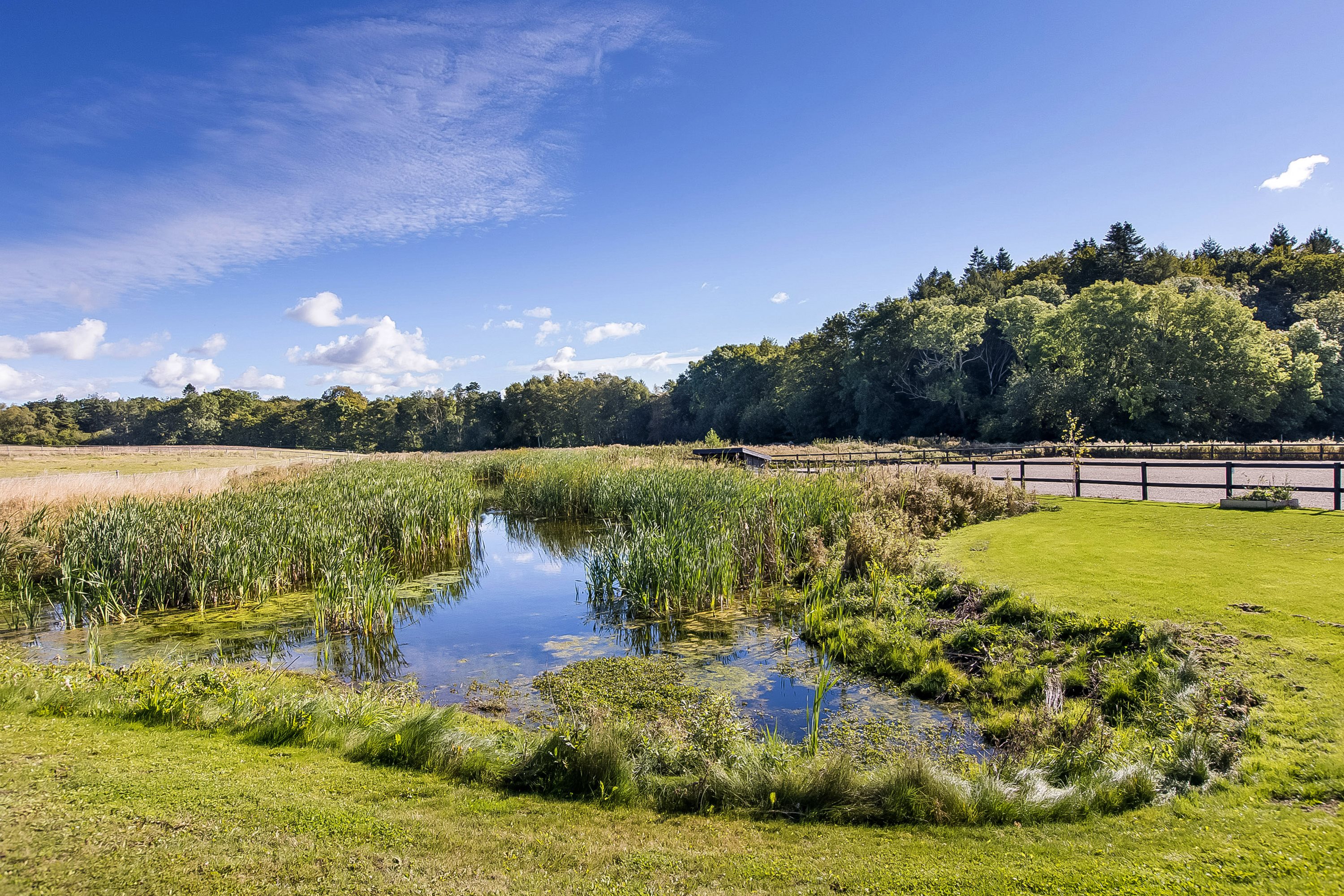 Fremhævet have billede i fuldskærmstilstand. Billede af Nebsmøllevej 70, Høed, 4100 Ringsted