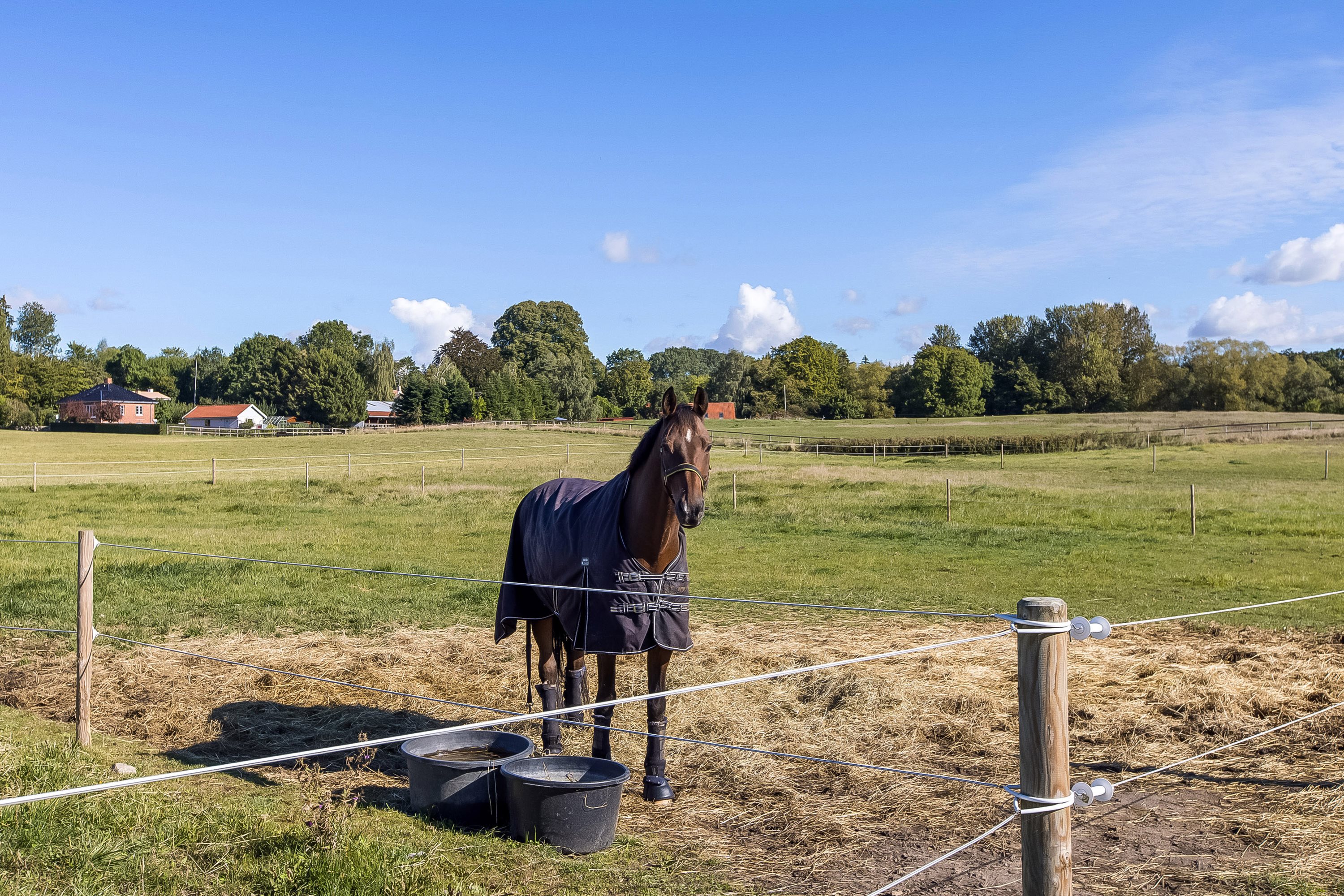 Fremhævet hestefold billede i fuldskærmstilstand. Billede af Nebsmøllevej 70, Høed, 4100 Ringsted