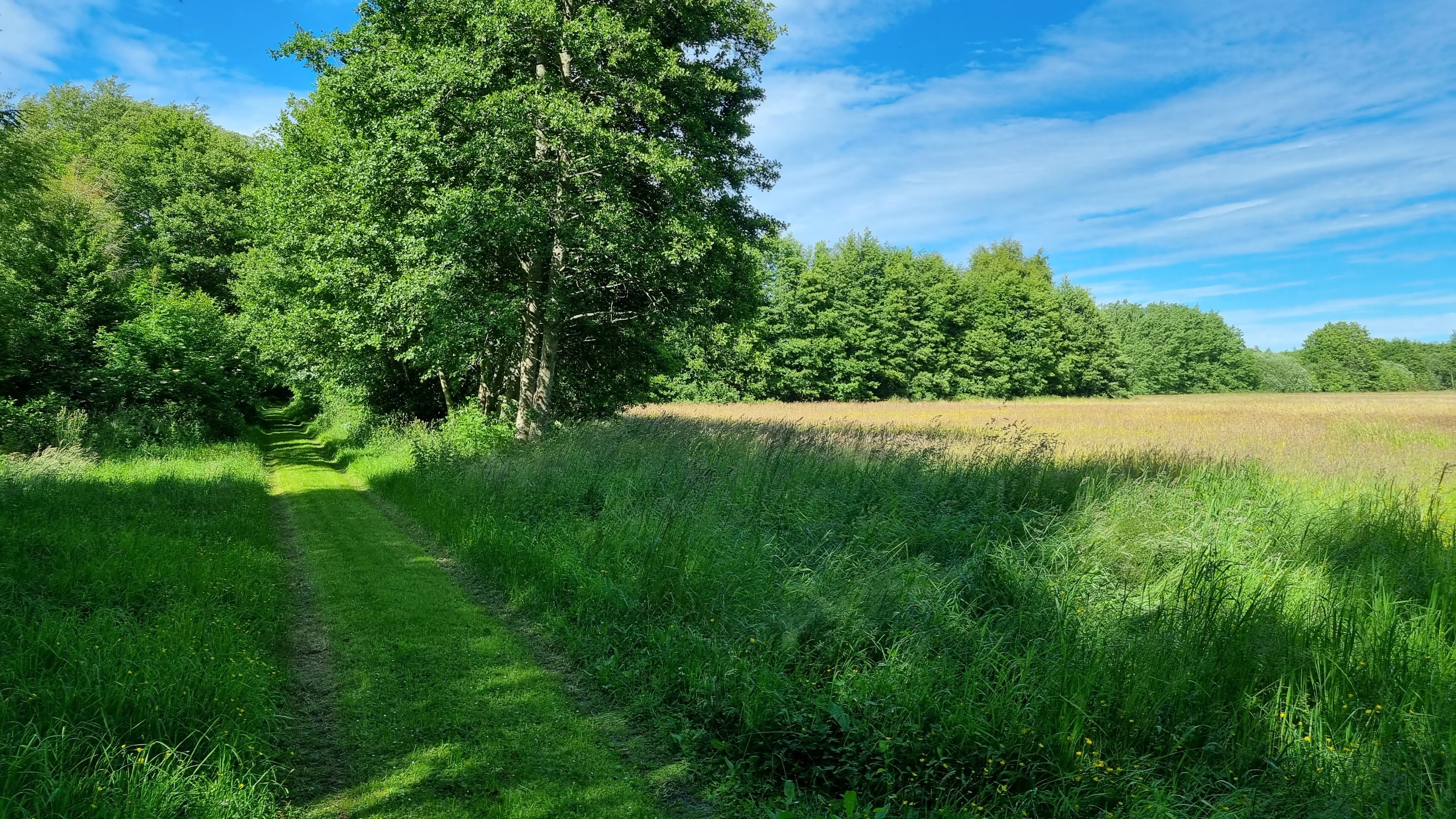 Fremhævet andet billede i fuldskærmstilstand. Billede af Bøgelunden 4, Byrum, 9940 Læsø