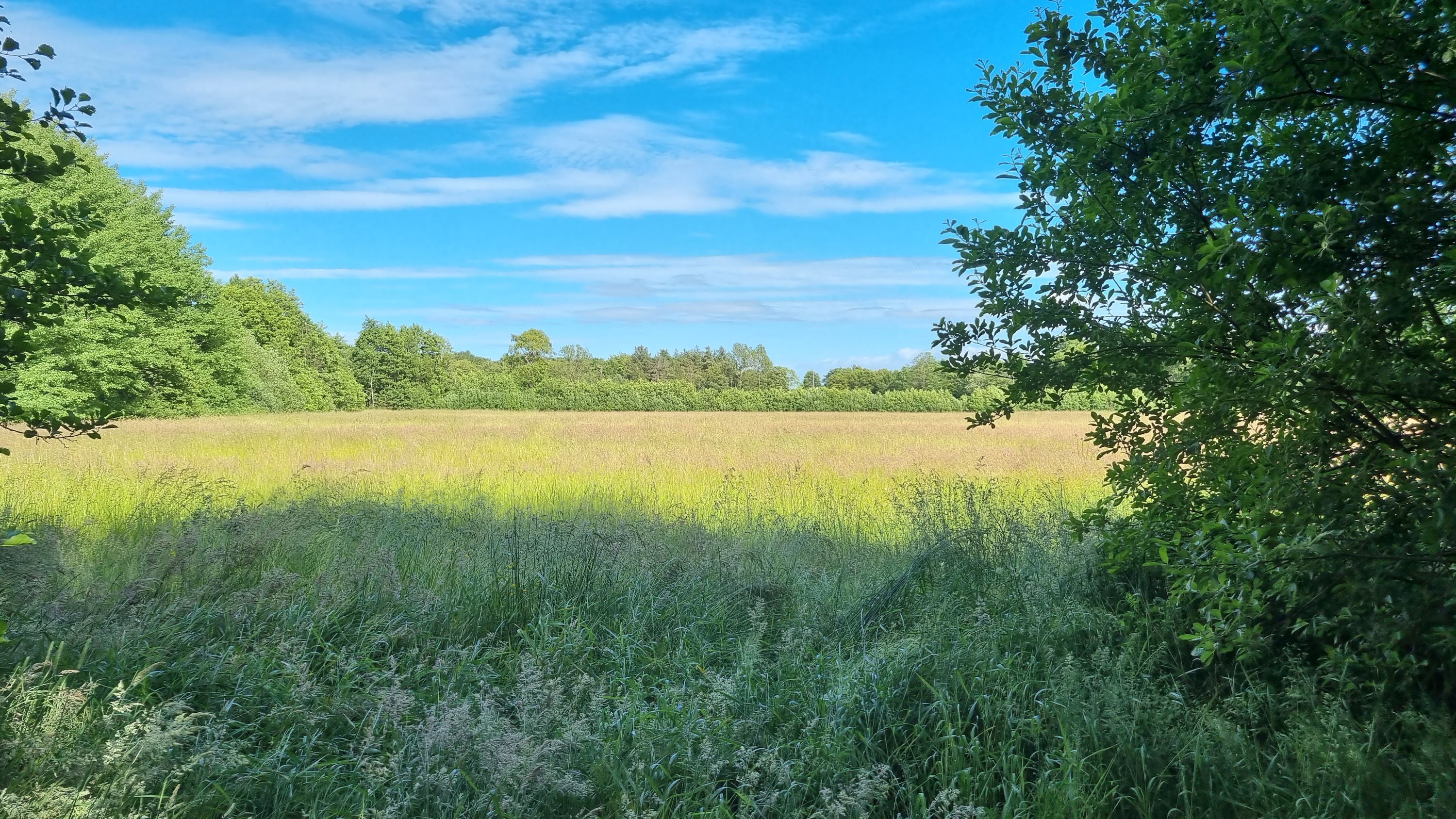 Fremhævet andet billede i fuldskærmstilstand. Billede af Bøgelunden 4, Byrum, 9940 Læsø