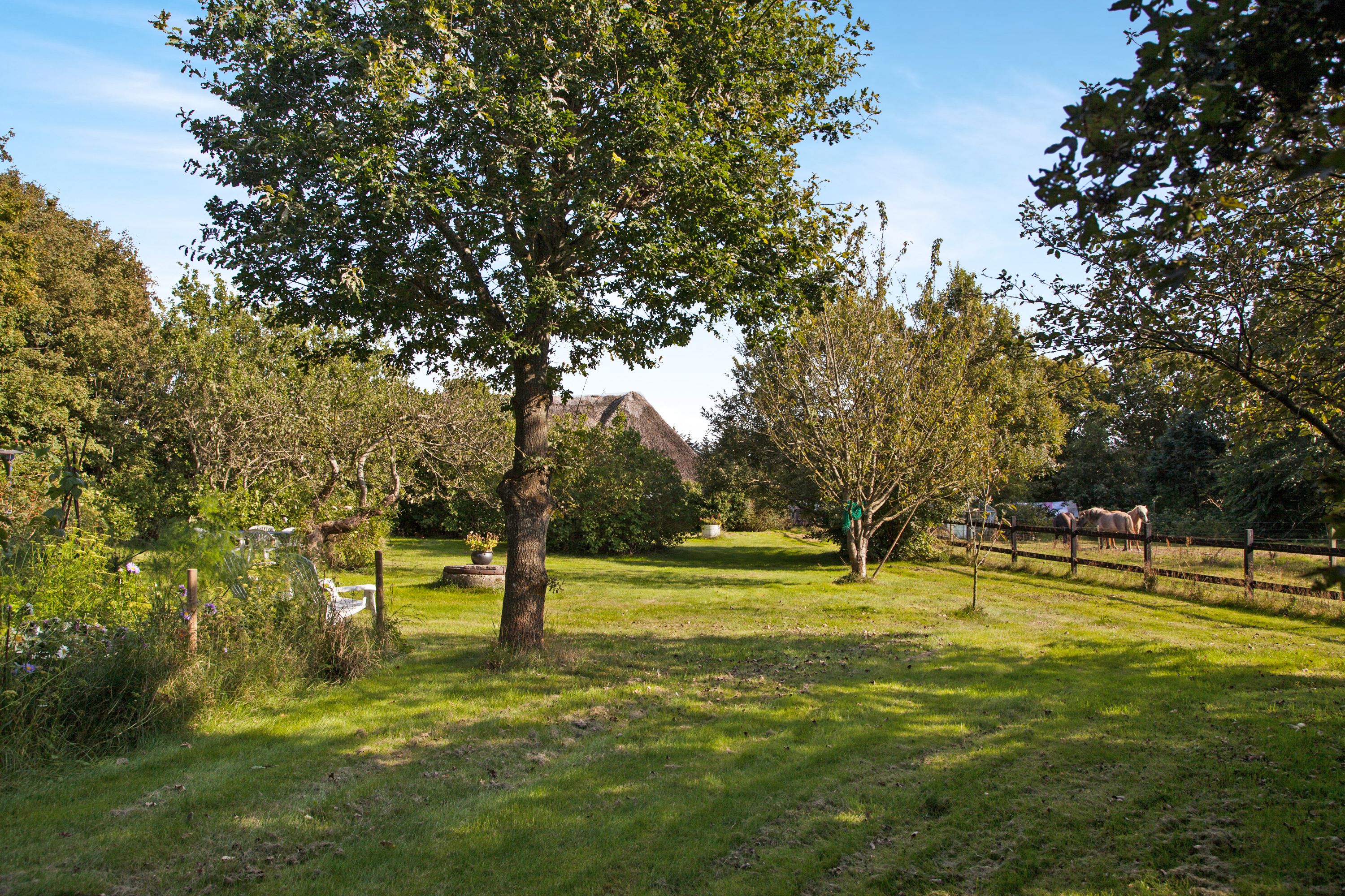 Fremhævet ejendommen billede i fuldskærmstilstand. Billede af Søndre Kirkevej 6, Sydvesten, 9940 Læsø