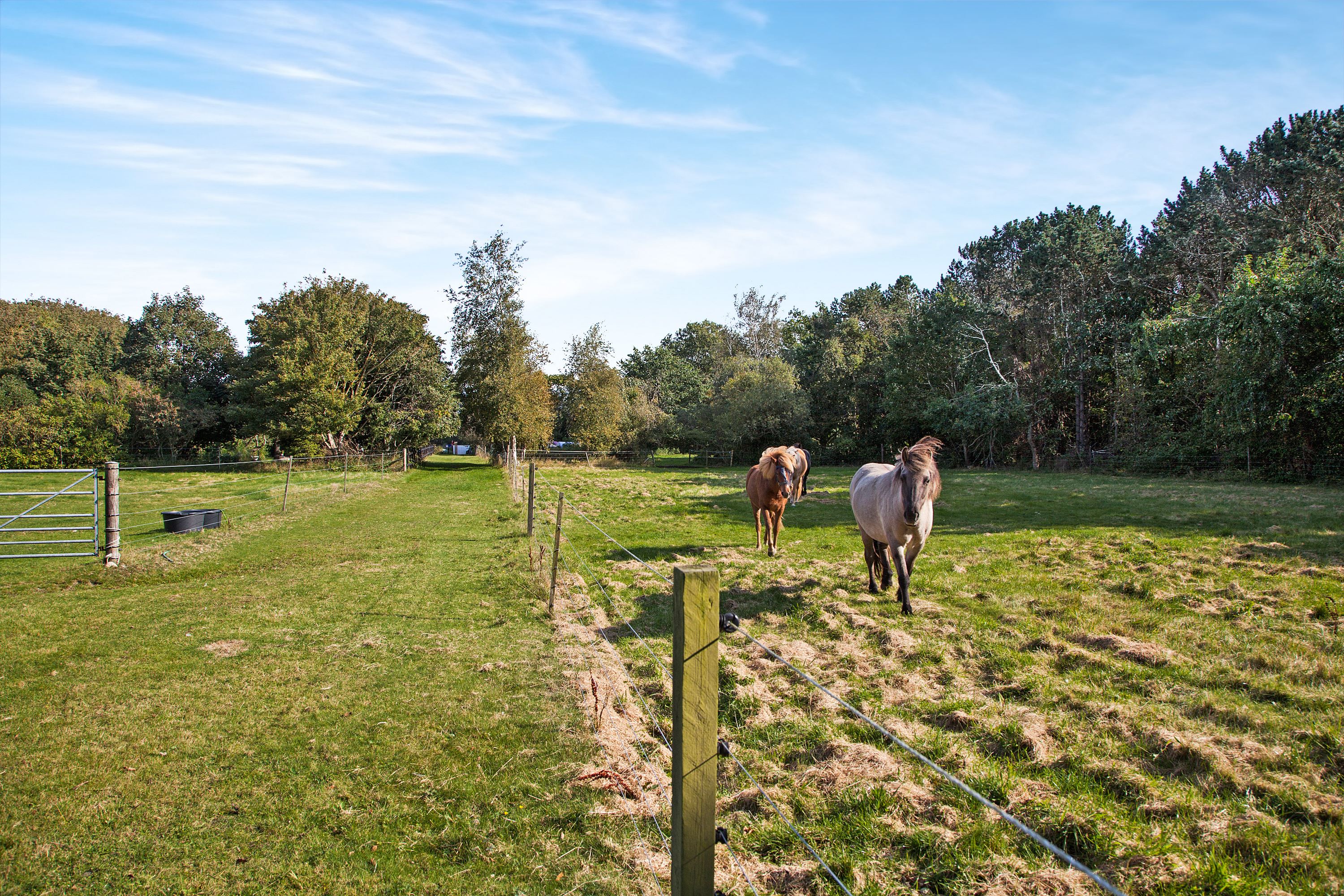 Fremhævet ejendommen billede i fuldskærmstilstand. Billede af Søndre Kirkevej 6, Sydvesten, 9940 Læsø