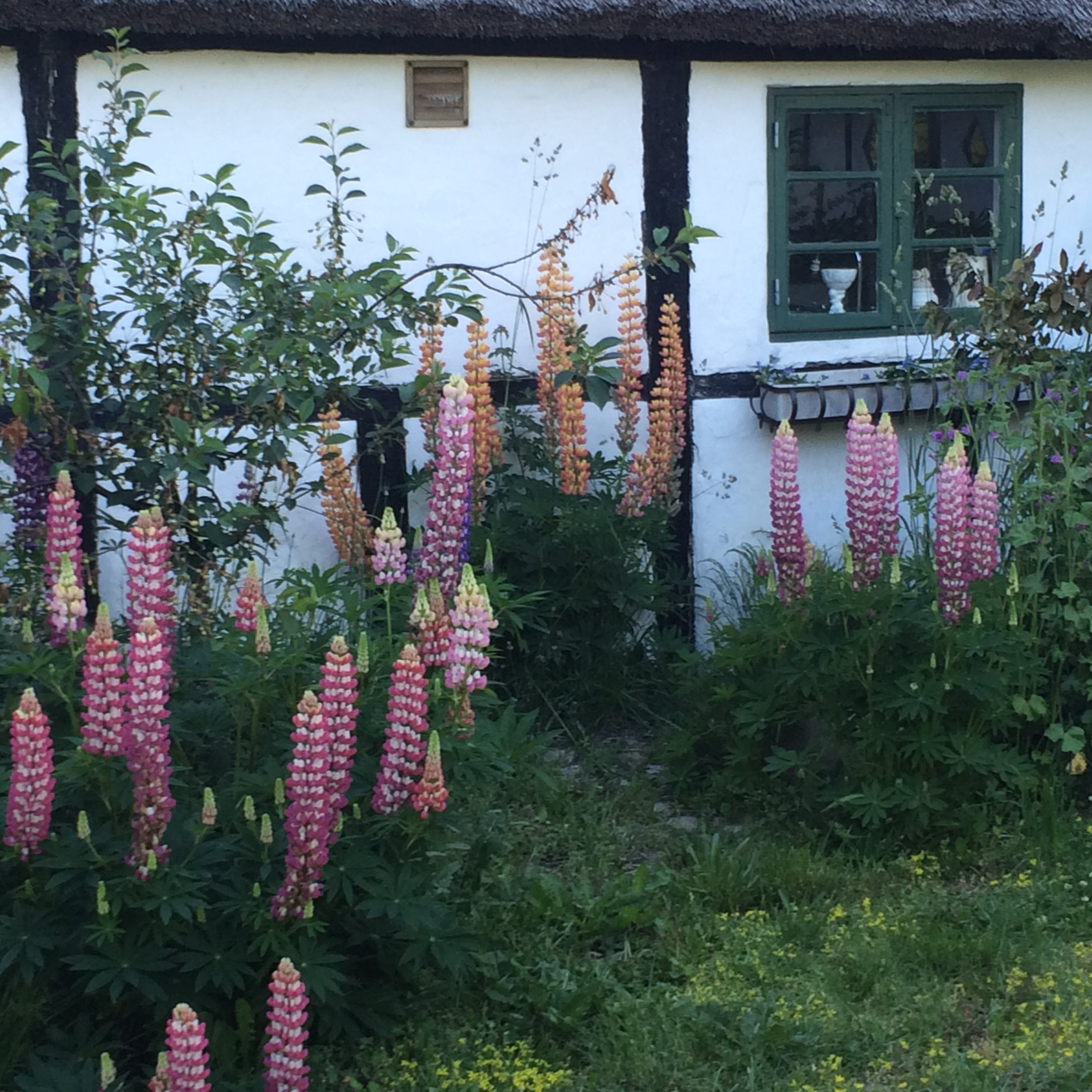 Fremhævet andet billede i fuldskærmstilstand. Billede af Søndre Kirkevej 6, Sydvesten, 9940 Læsø