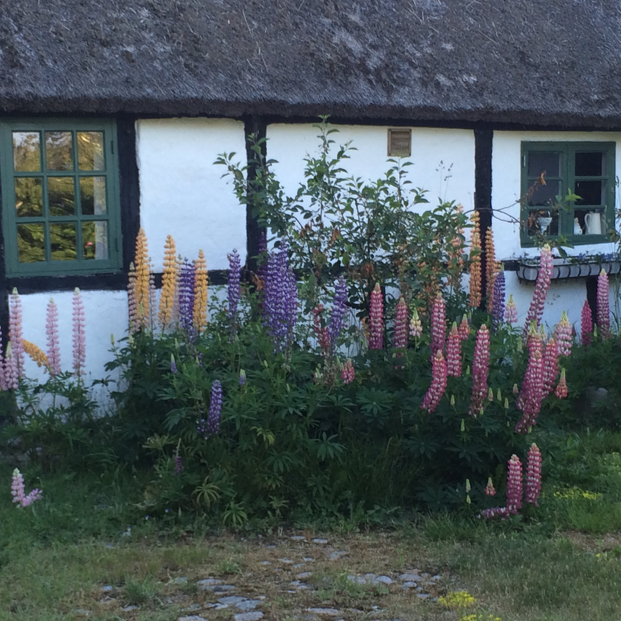 Fremhævet andet billede i fuldskærmstilstand. Billede af Søndre Kirkevej 6, Sydvesten, 9940 Læsø