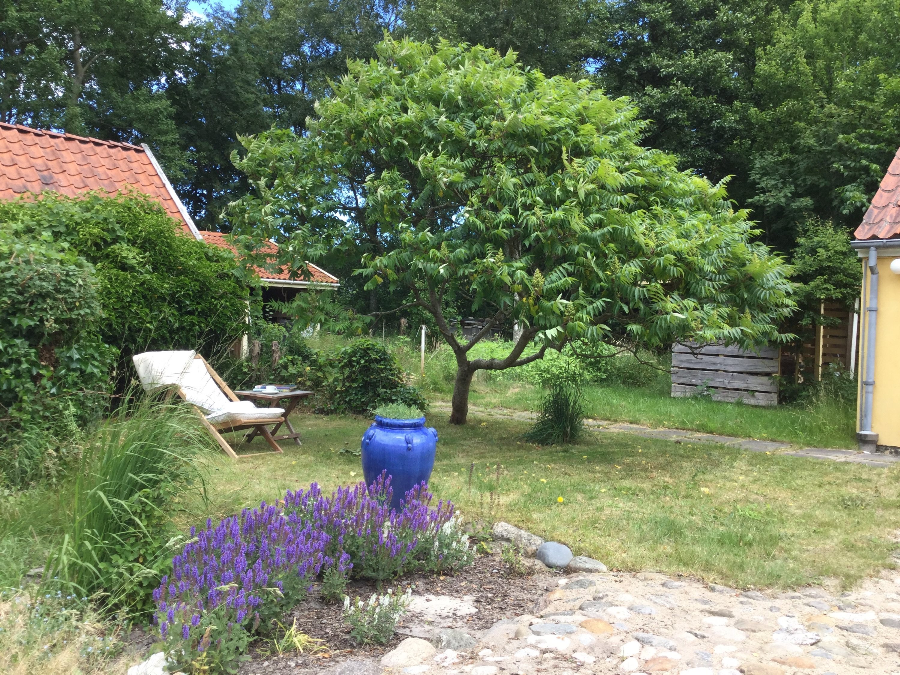 Fremhævet andet billede i fuldskærmstilstand. Billede af Flyvepladsvej 2, Byrum, 9940 Læsø