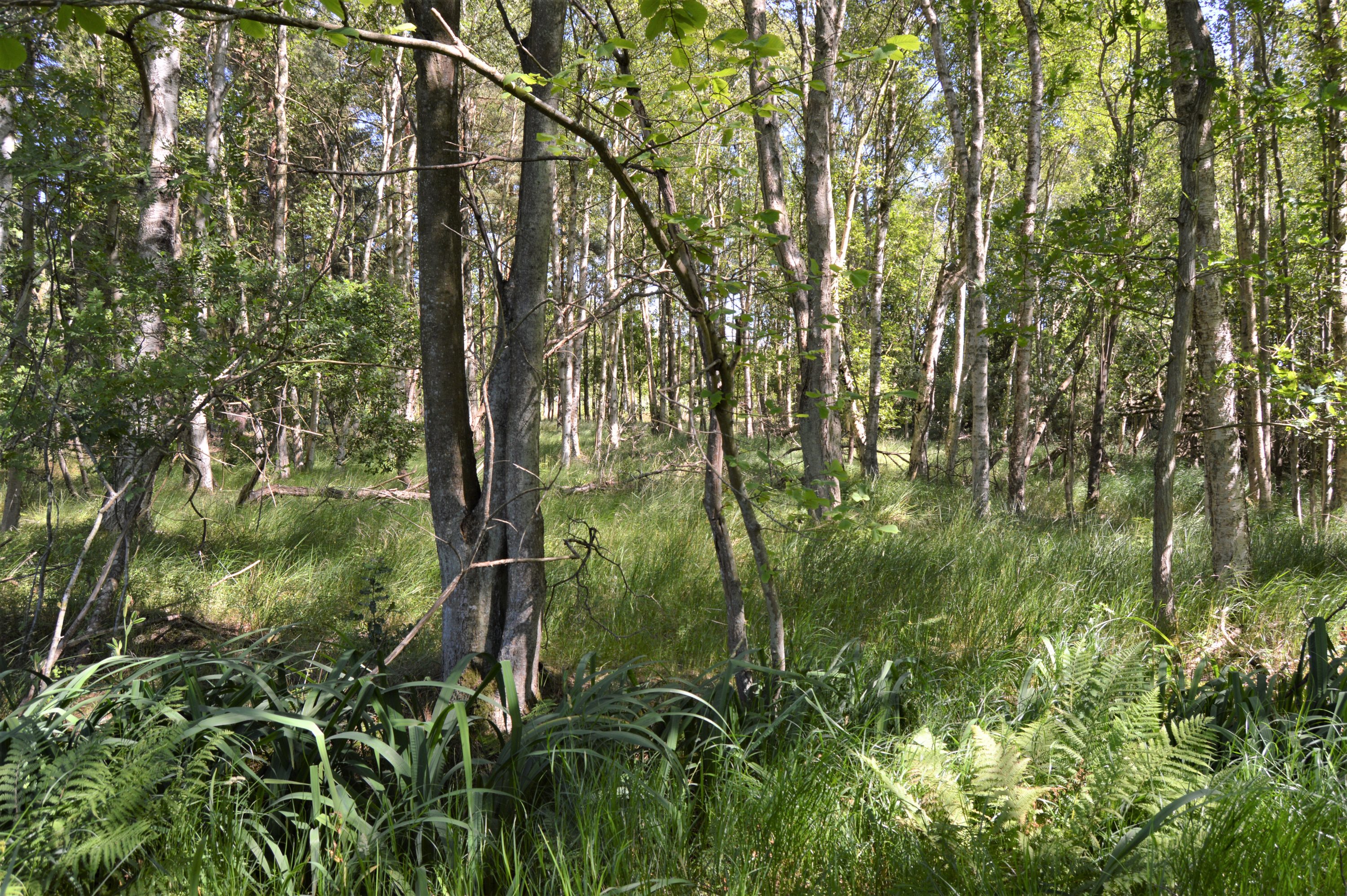 Fremhævet andet billede i fuldskærmstilstand. Billede af Thorasvej 4A, Remmerne, 9940 Læsø