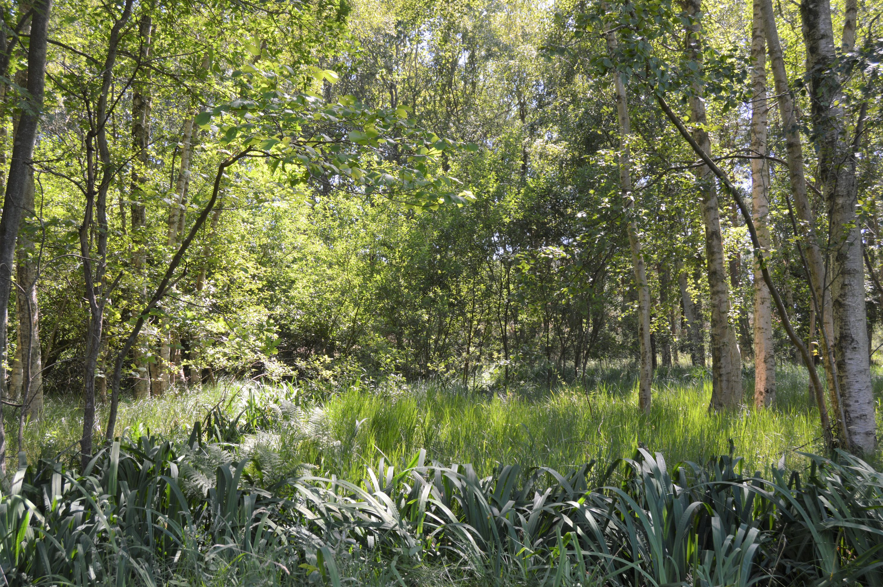 Fremhævet andet billede i fuldskærmstilstand. Billede af Thorasvej 4A, Remmerne, 9940 Læsø