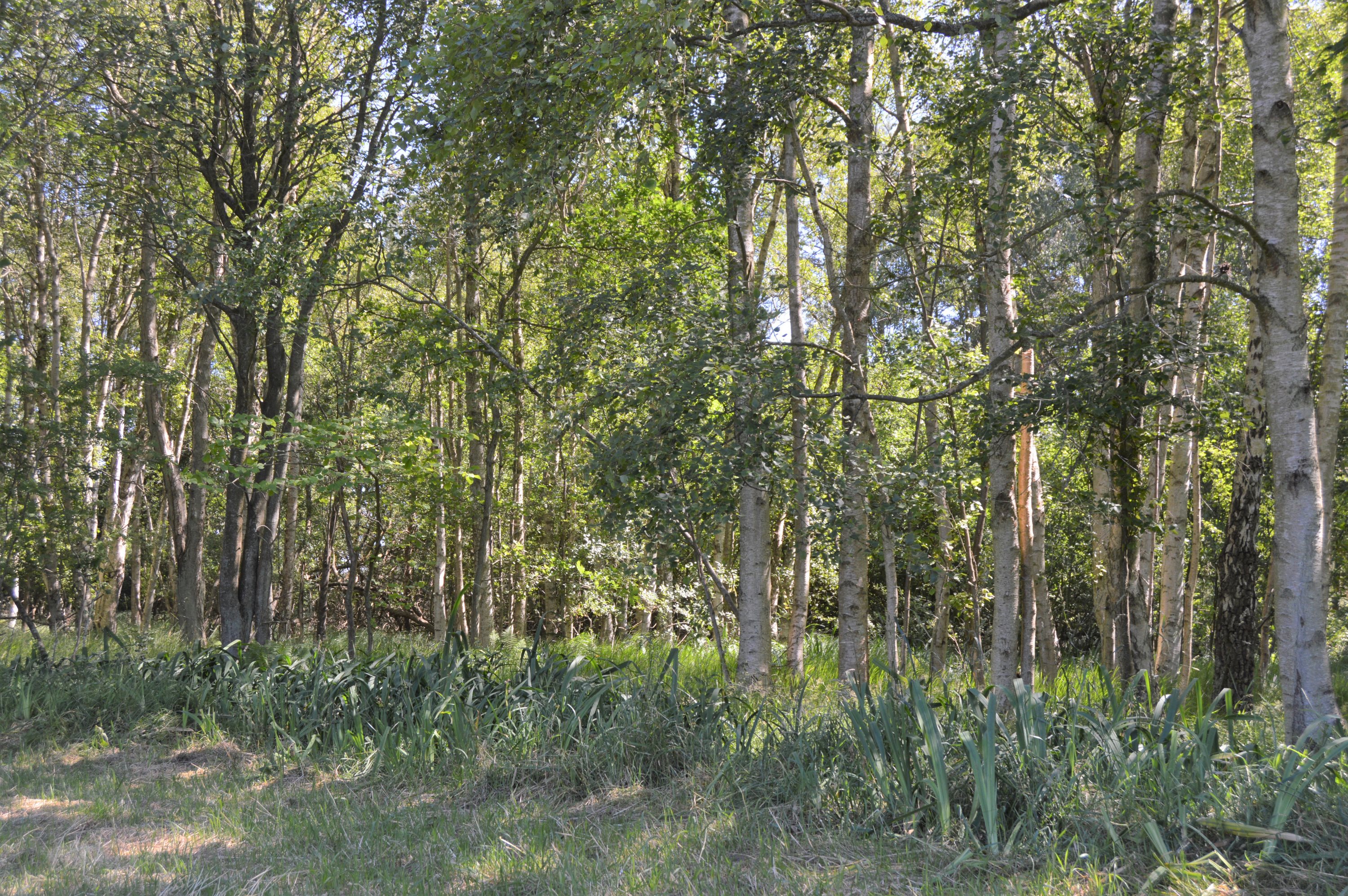 Fremhævet andet billede i fuldskærmstilstand. Billede af Thorasvej 4A, Remmerne, 9940 Læsø