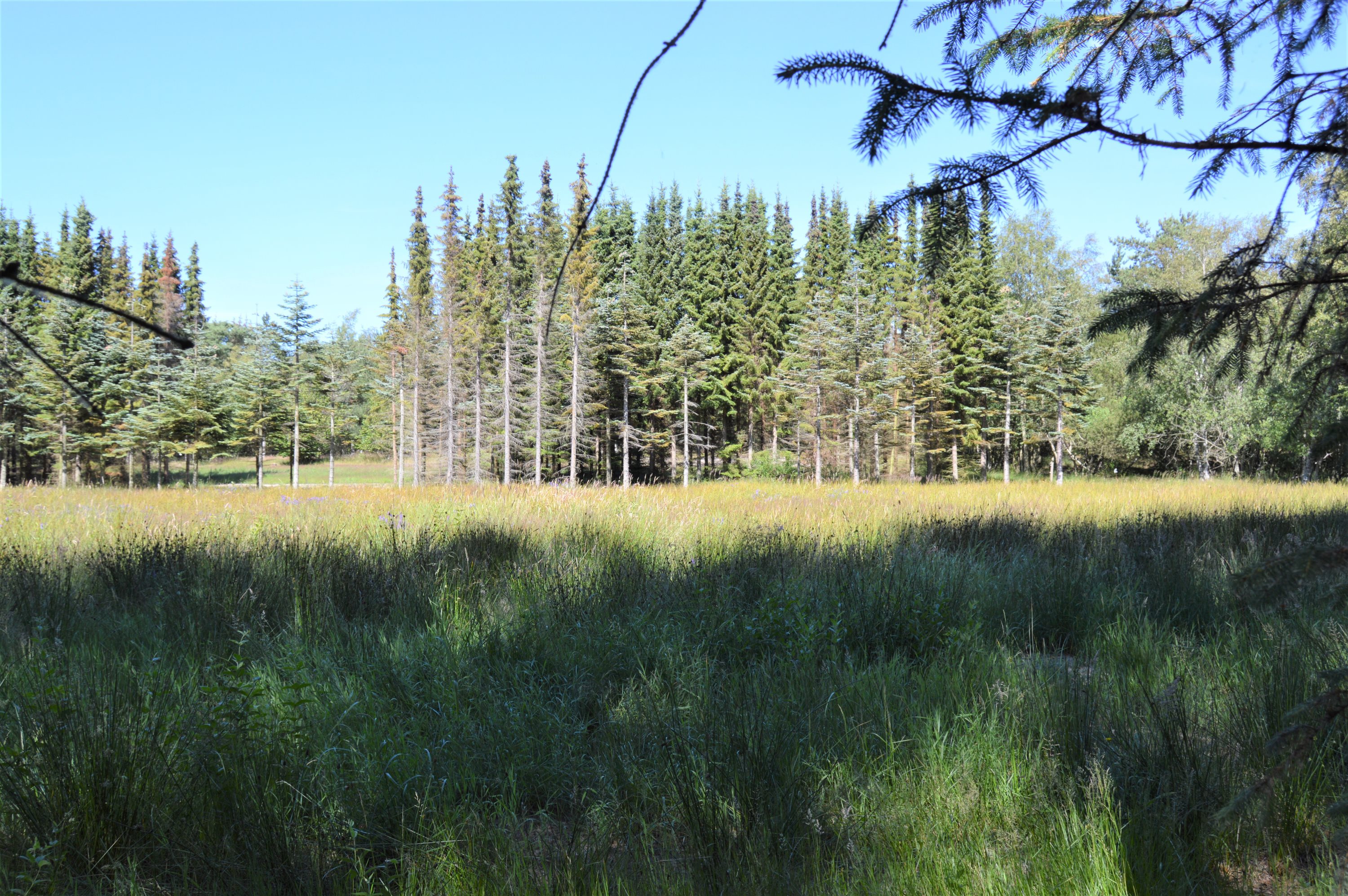 Fremhævet andet billede i fuldskærmstilstand. Billede af Thorasvej 4A, Remmerne, 9940 Læsø