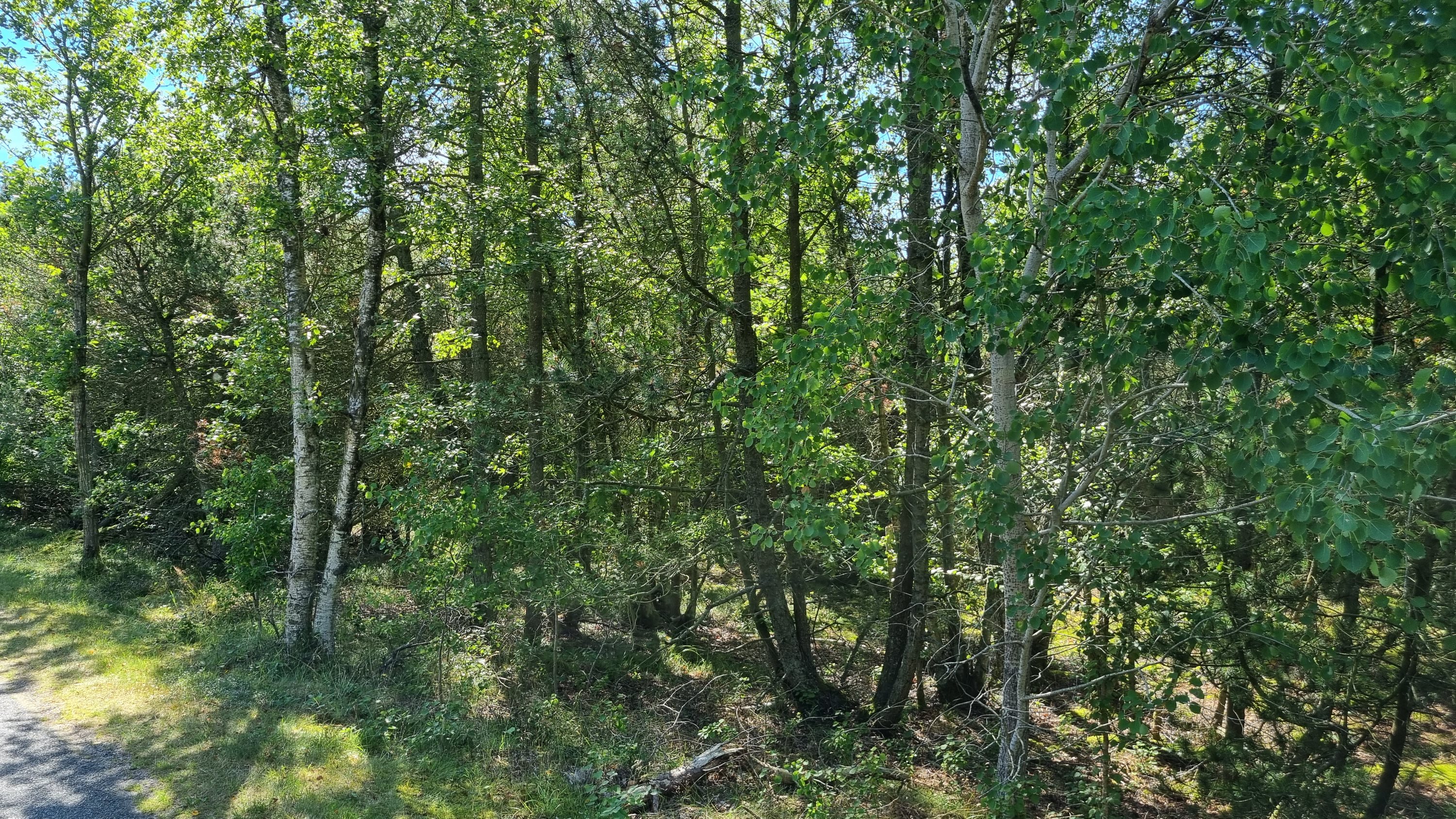 Miniaturebillede 2: andet. Billede af På Remmerne 61A, Remmerne, 9940 Læsø