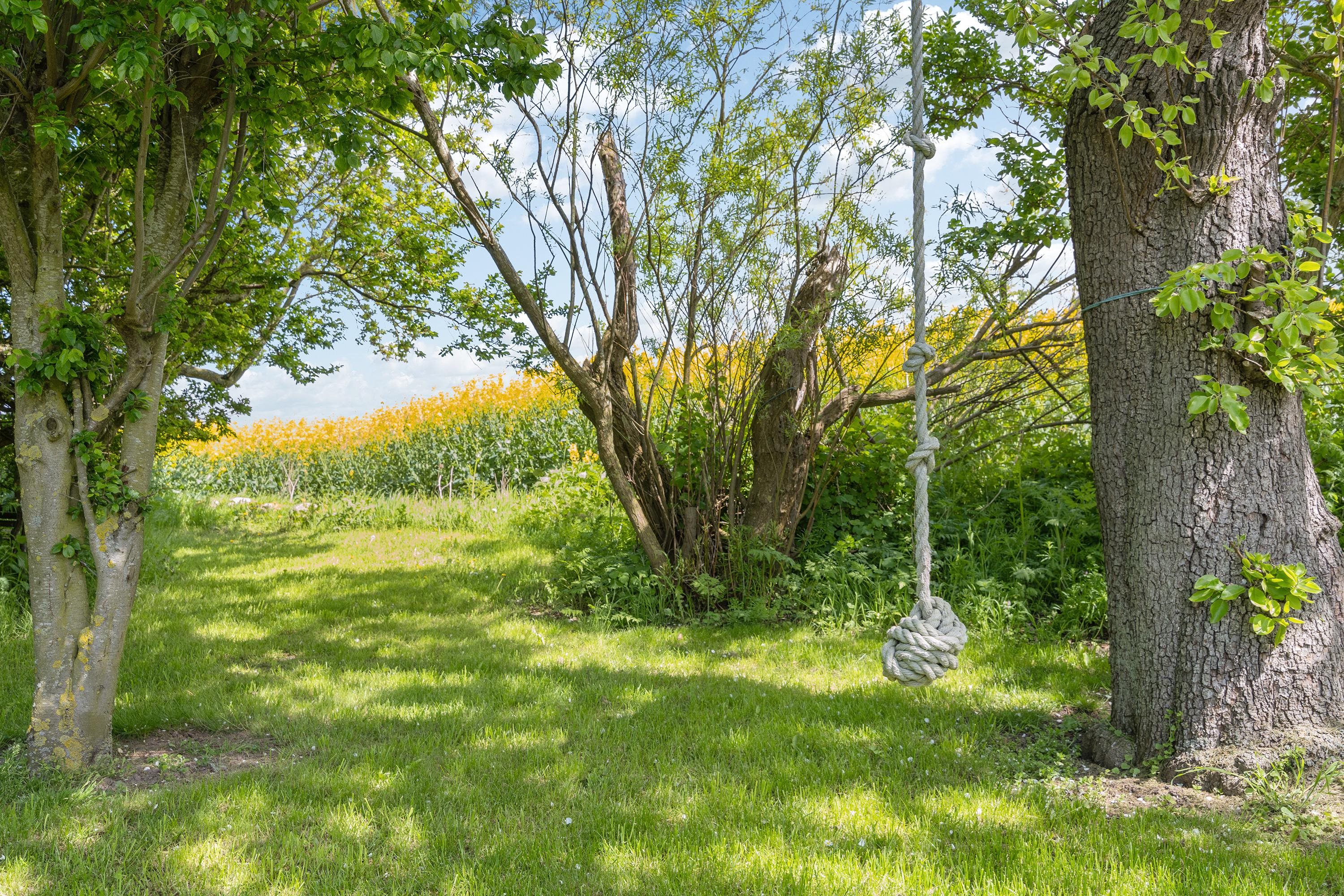 Fremhævet gårdhave billede i fuldskærmstilstand. Billede af Bjælkehovedvej 52, 4913 Horslunde