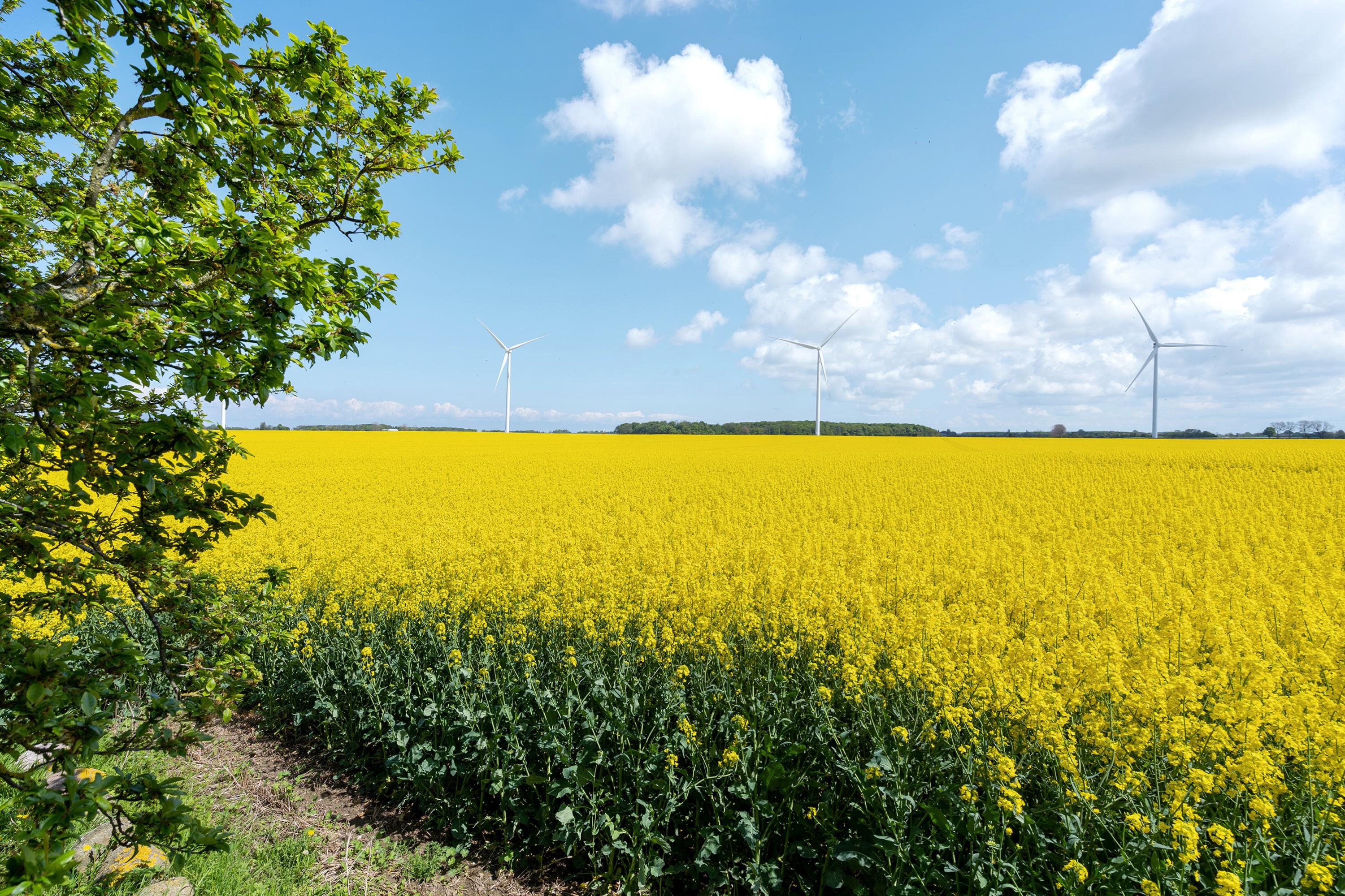 Fremhævet område billede i fuldskærmstilstand. Billede af Bjælkehovedvej 52, 4913 Horslunde