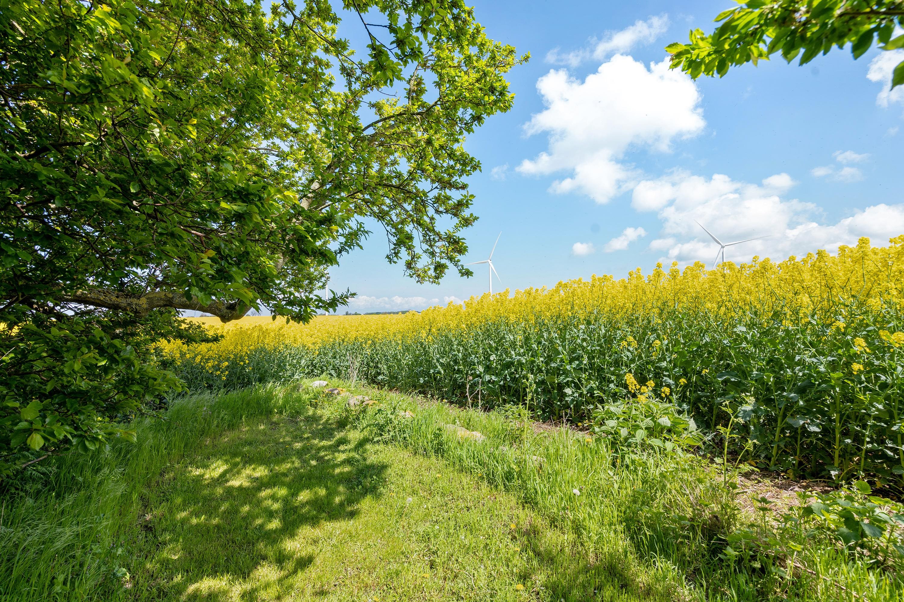 Fremhævet område billede i fuldskærmstilstand. Billede af Bjælkehovedvej 52, 4913 Horslunde
