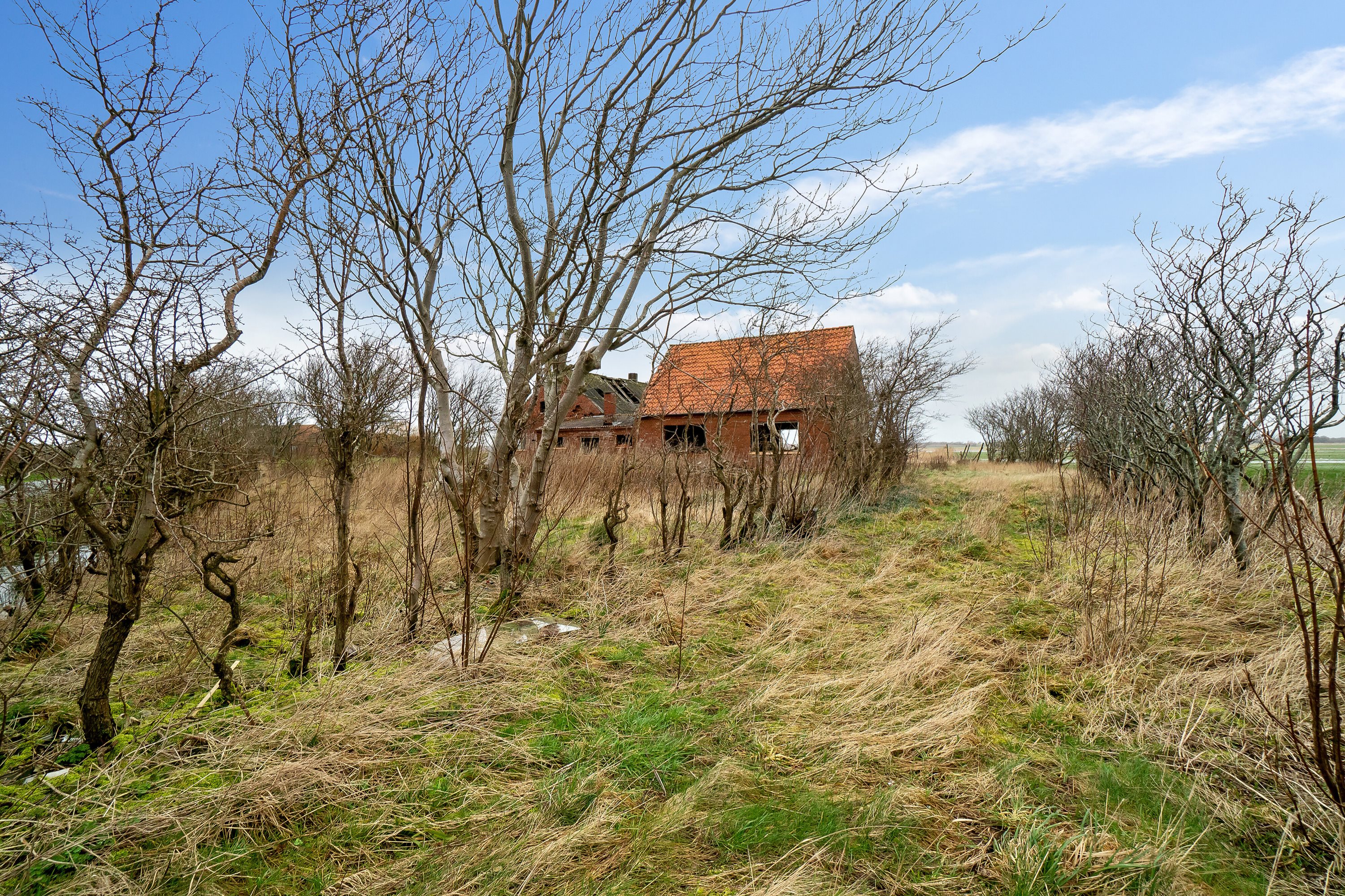 Miniaturebillede 2: set fra haven. Billede af Bjergvej 20, Vilslev, 6771 Gredstedbro