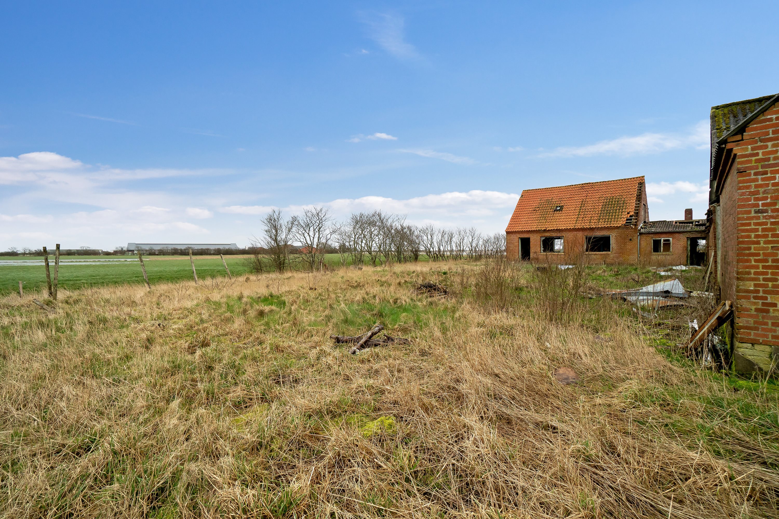 Fremhævet set fra haven billede i fuldskærmstilstand. Billede af Bjergvej 20, Vilslev, 6771 Gredstedbro