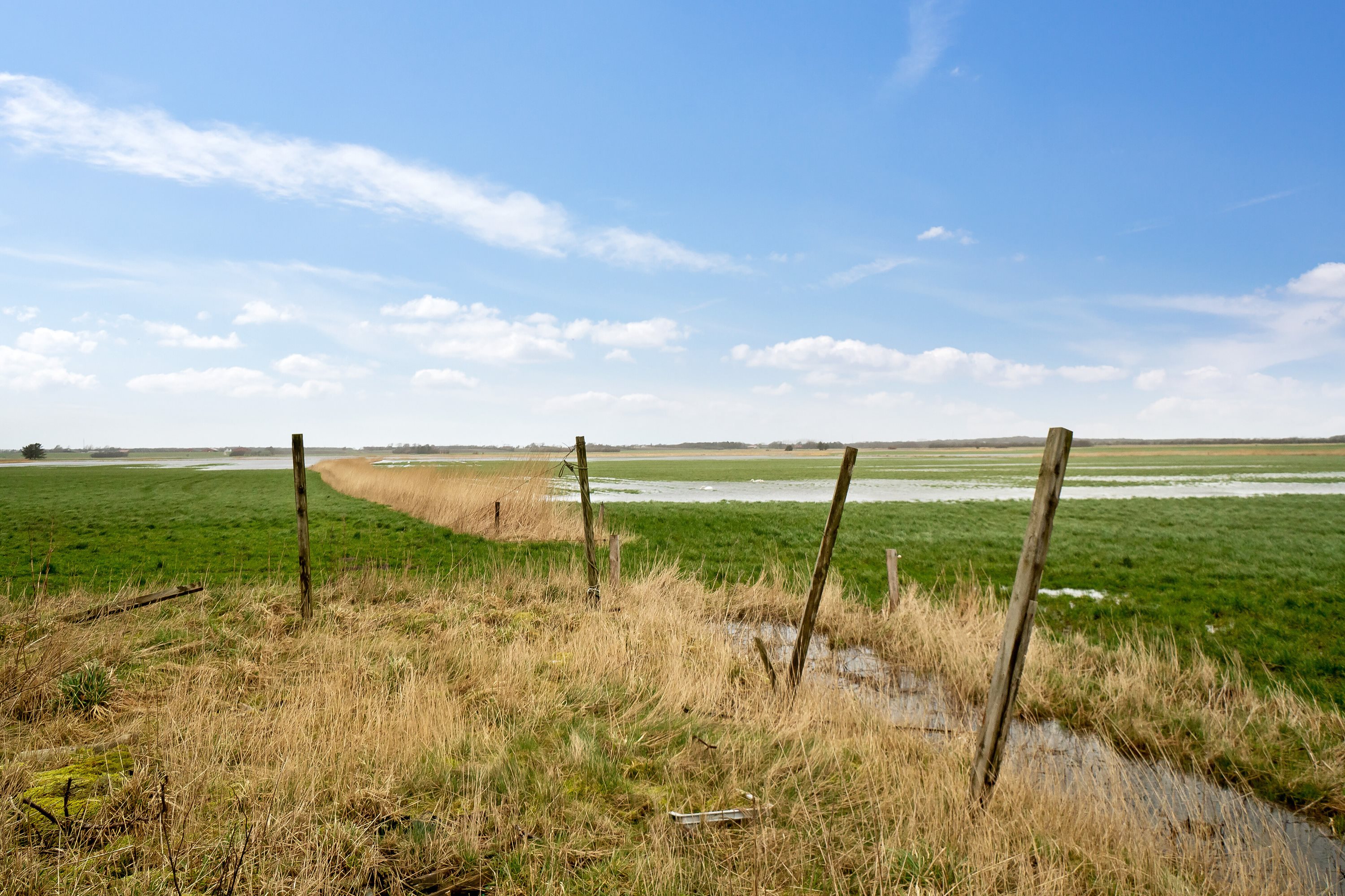 Fremhævet udendørs billede i fuldskærmstilstand. Billede af Bjergvej 20, Vilslev, 6771 Gredstedbro