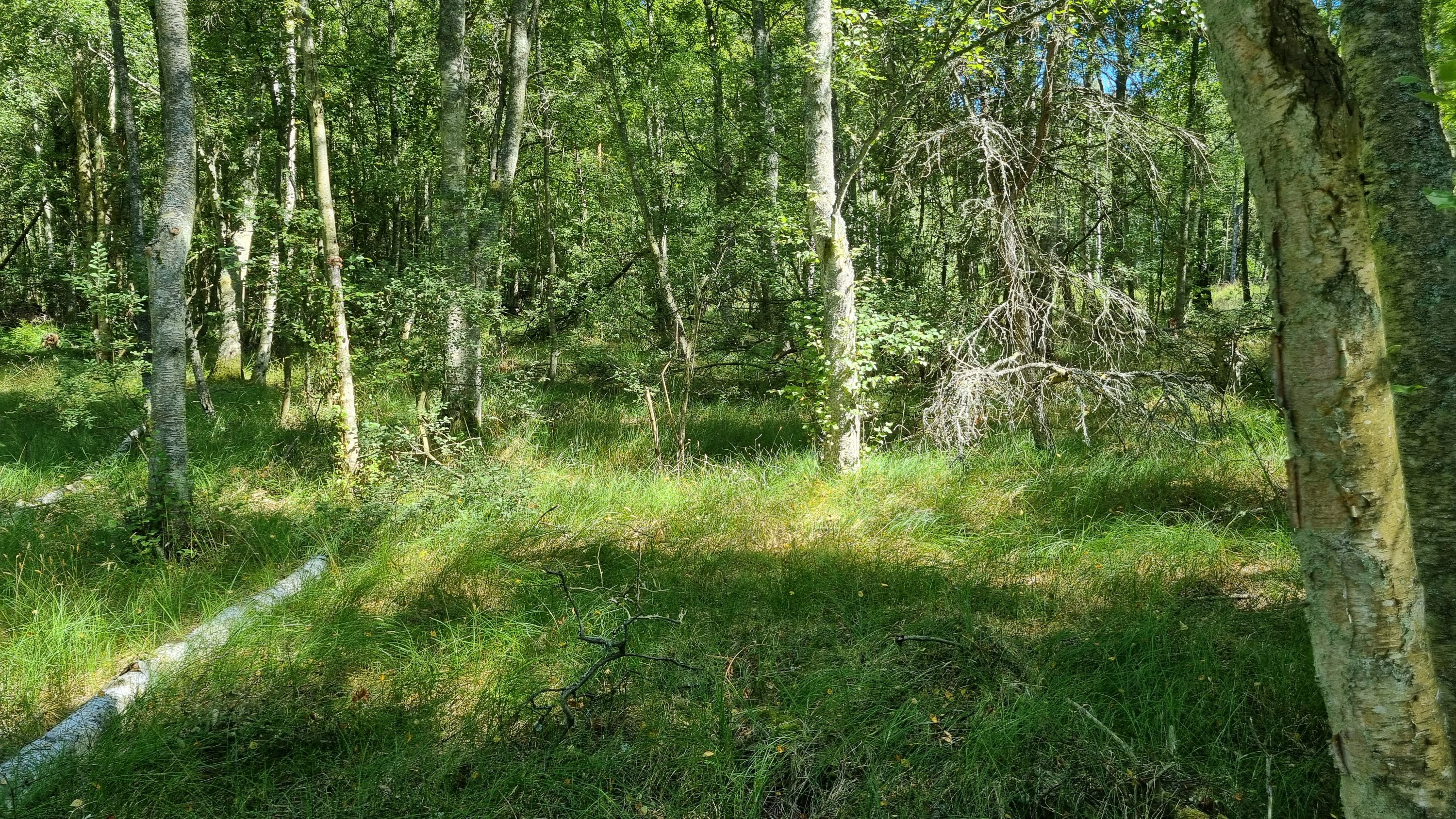 Fremhævet andet billede i fuldskærmstilstand. Billede af Grankrogen 4, Østerby, 9940 Læsø