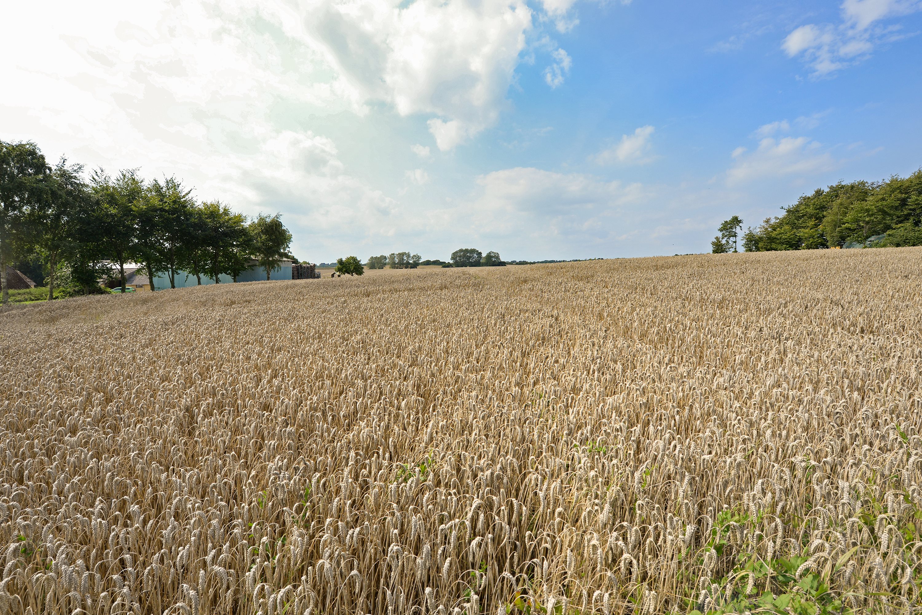Fremhævet byggegrund billede i fuldskærmstilstand. Billede af Vejlbyvej 47, Vejlby, 5500 Middelfart