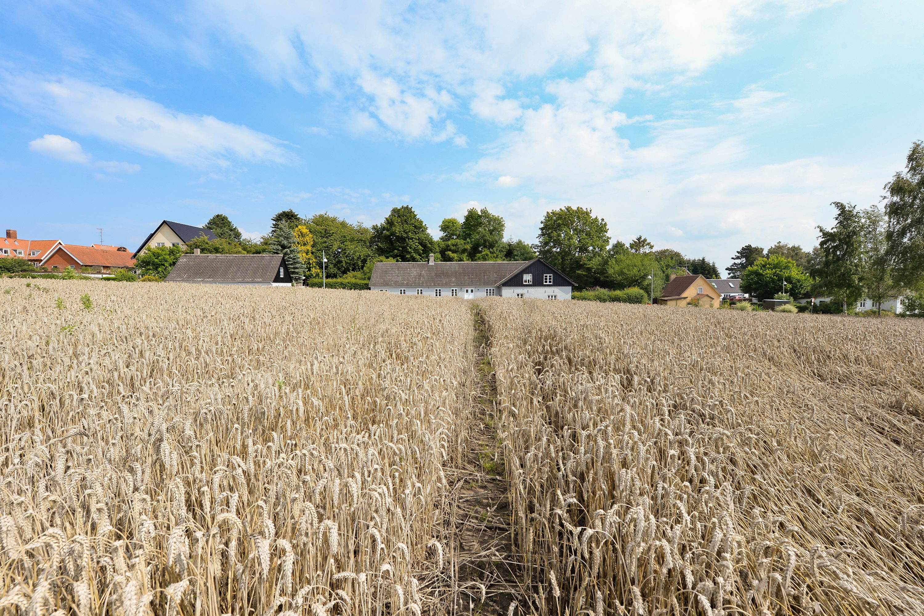 Fremhævet byggegrund billede i fuldskærmstilstand. Billede af Vejlbyvej 47, Vejlby, 5500 Middelfart