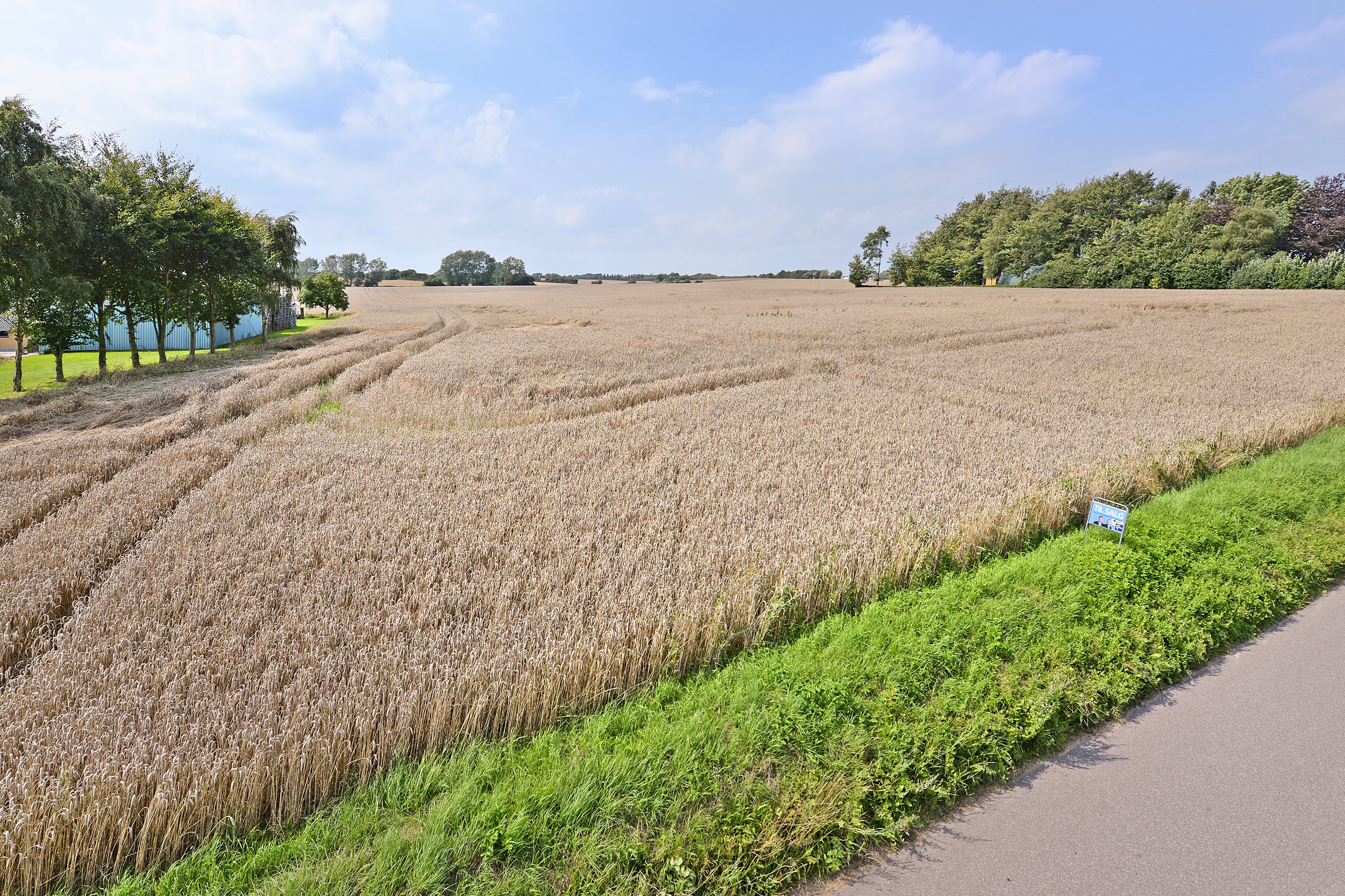 Fremhævet byggegrund billede i fuldskærmstilstand. Billede af Vejlbyvej 47, Vejlby, 5500 Middelfart