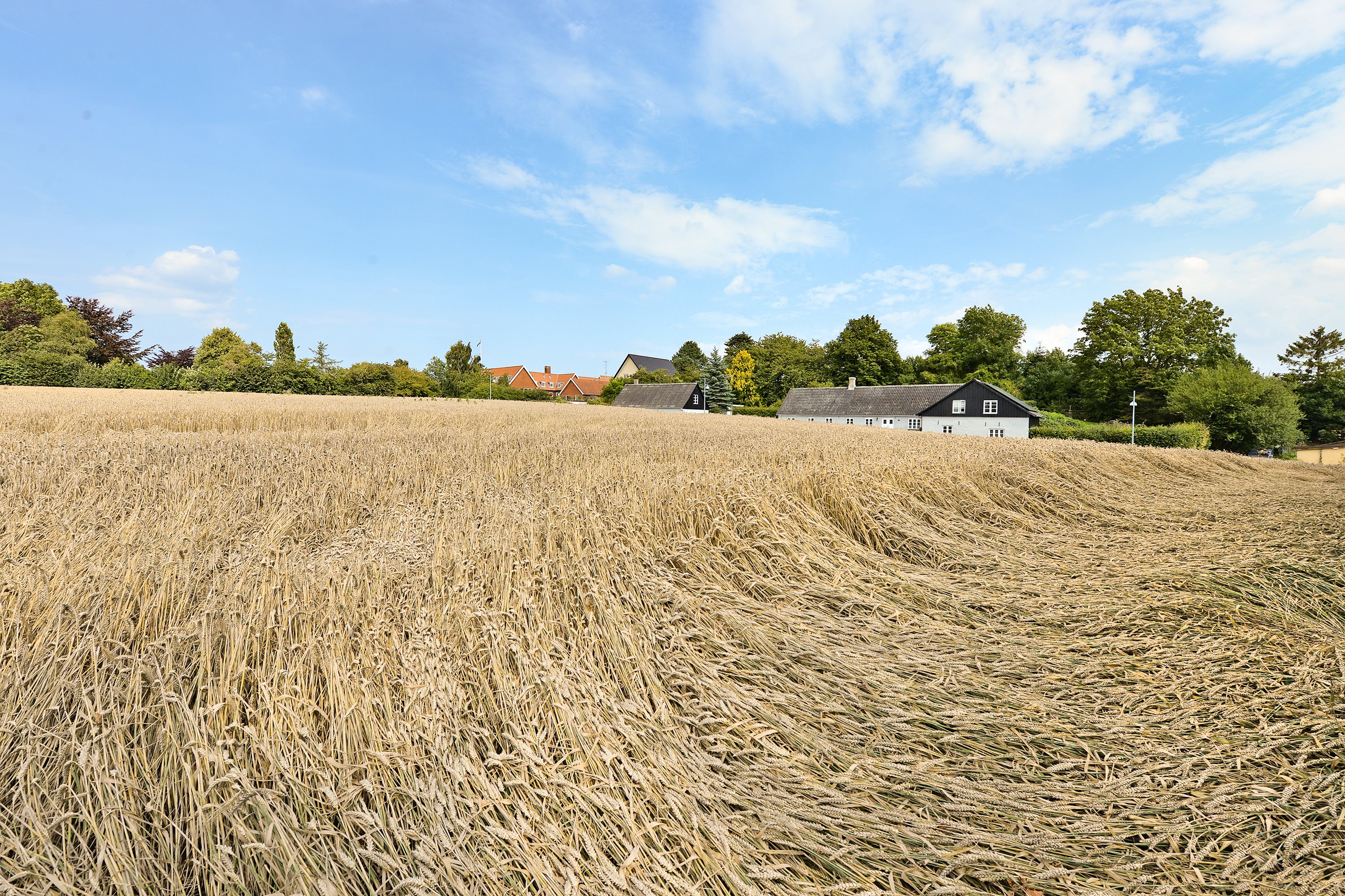 Fremhævet byggegrund billede i fuldskærmstilstand. Billede af Vejlbyvej 47, Vejlby, 5500 Middelfart