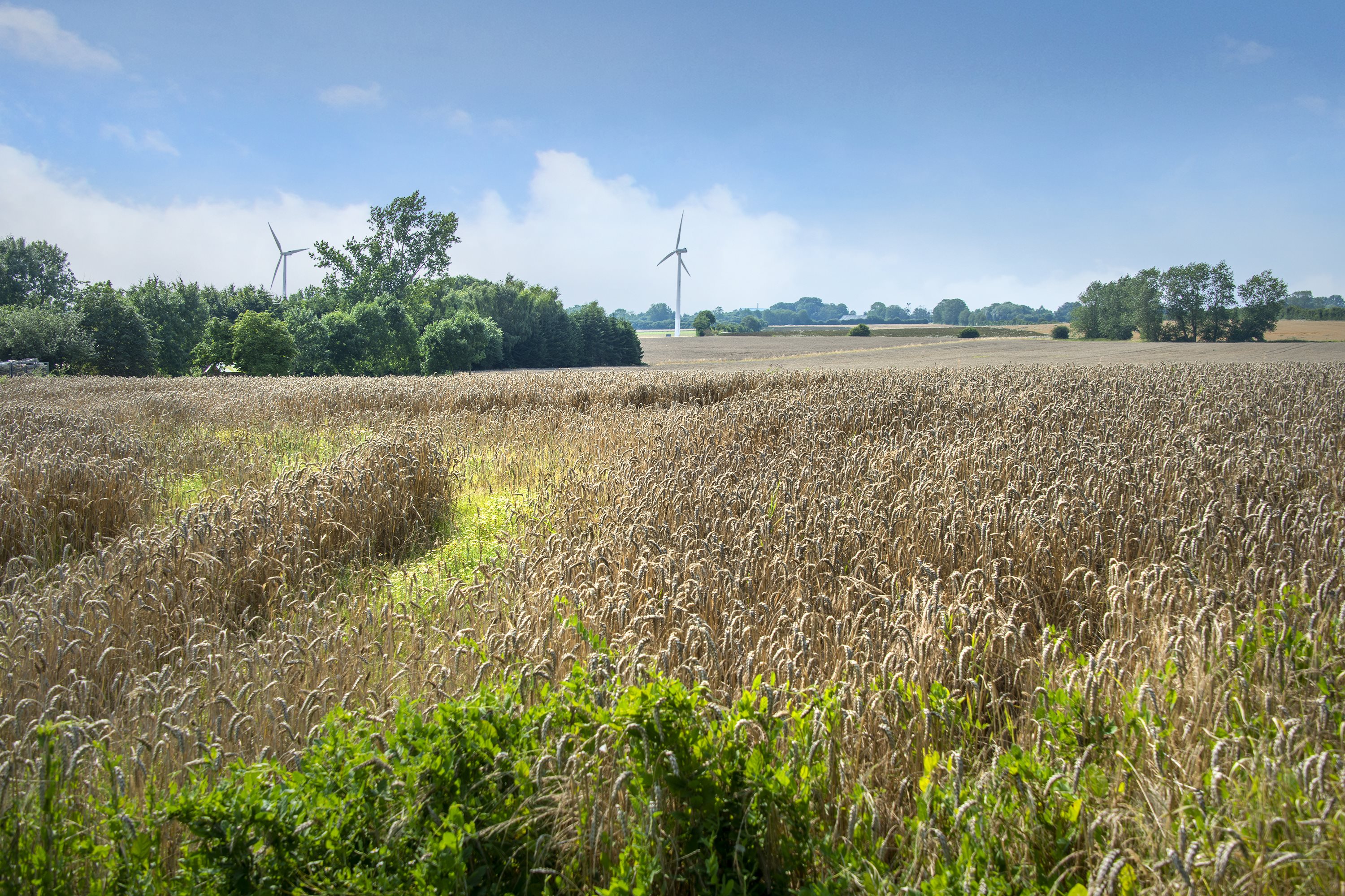 Fremhævet byggegrund billede i fuldskærmstilstand. Billede af Vejlbyvej 47, Vejlby, 5500 Middelfart