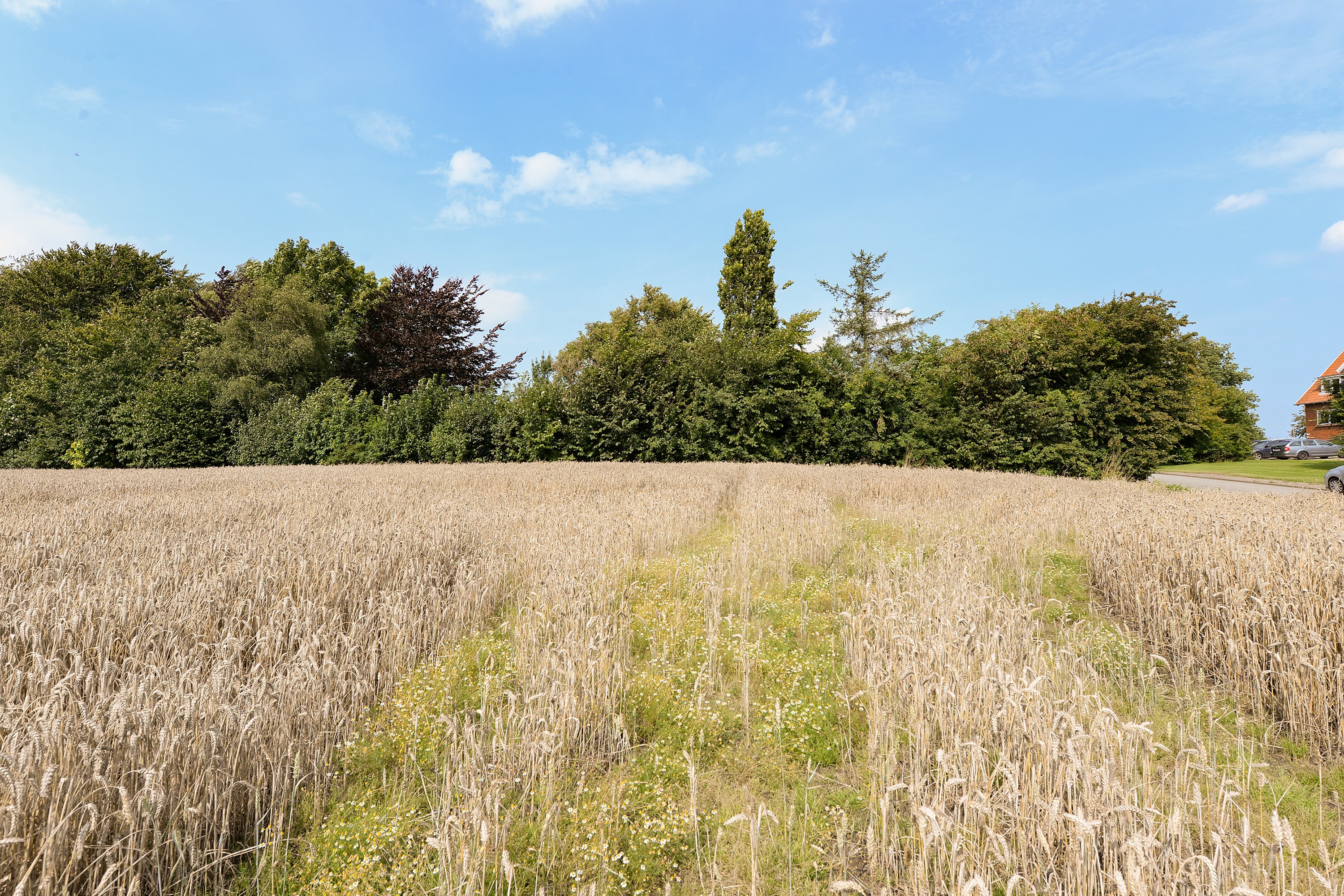 Fremhævet byggegrund billede i fuldskærmstilstand. Billede af Vejlbyvej 47, Vejlby, 5500 Middelfart