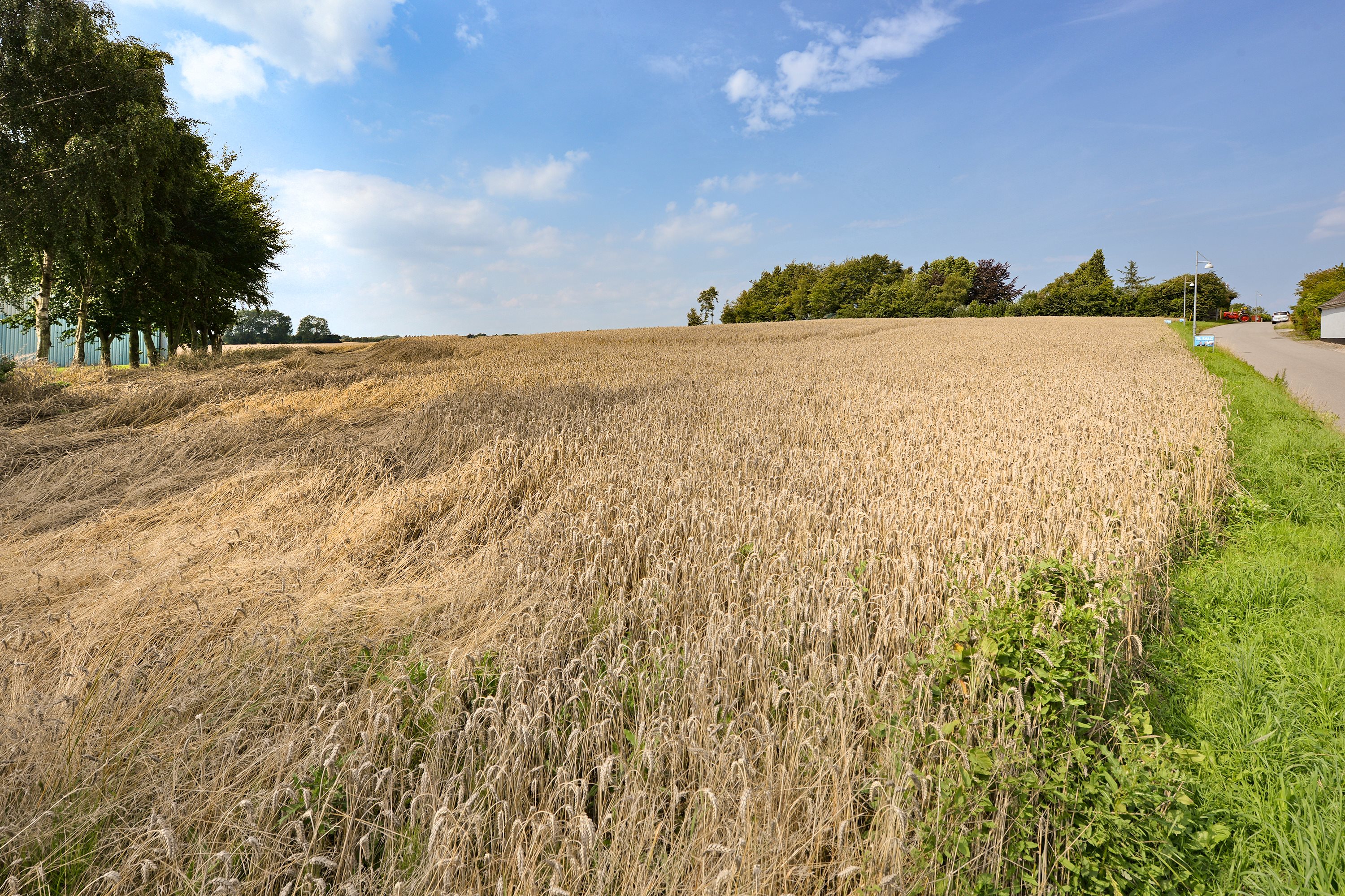 Fremhævet byggegrund billede i fuldskærmstilstand. Billede af Vejlbyvej 47, Vejlby, 5500 Middelfart