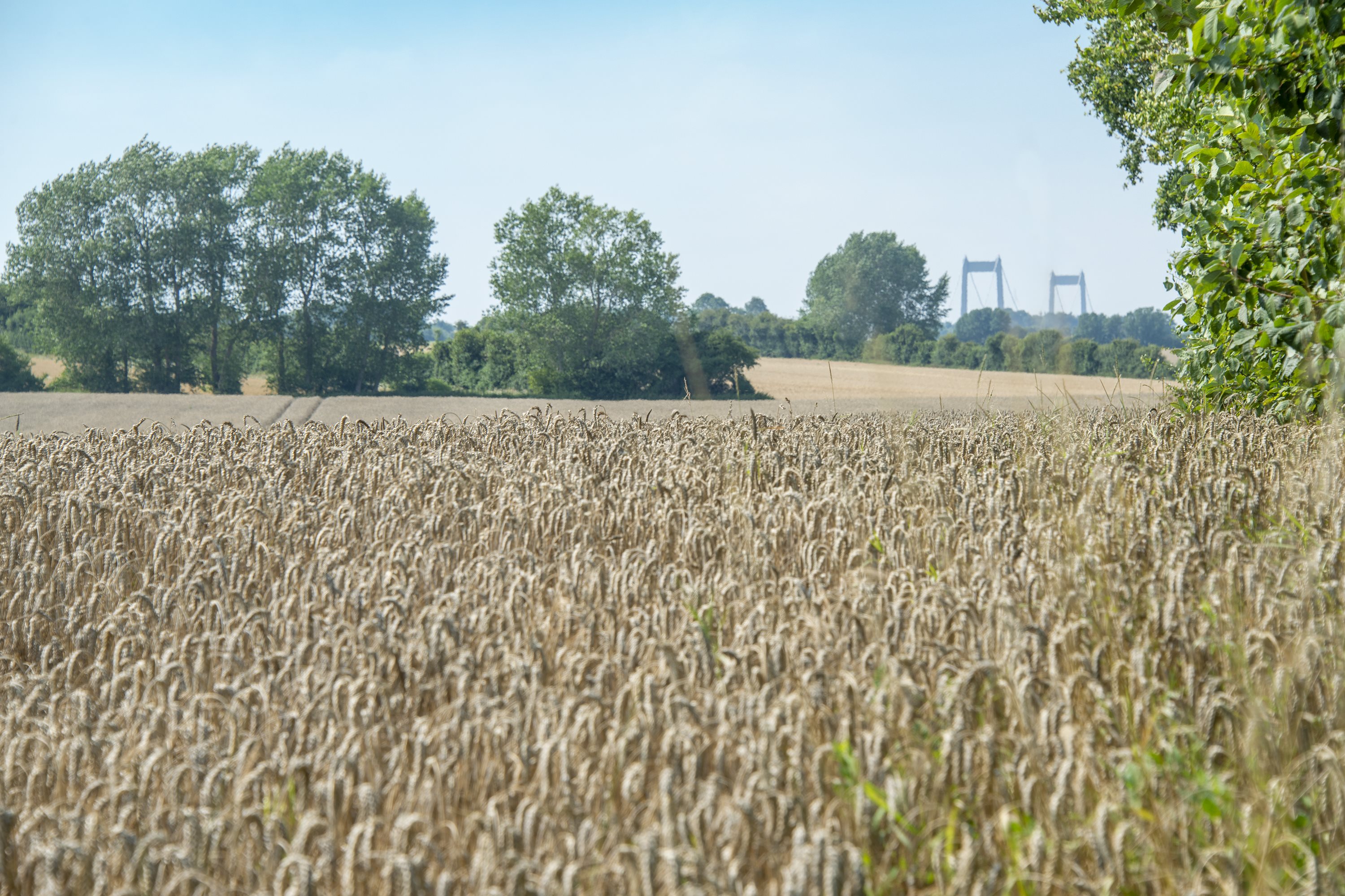 Fremhævet udsigt billede i fuldskærmstilstand. Billede af Vejlbyvej 47, Vejlby, 5500 Middelfart