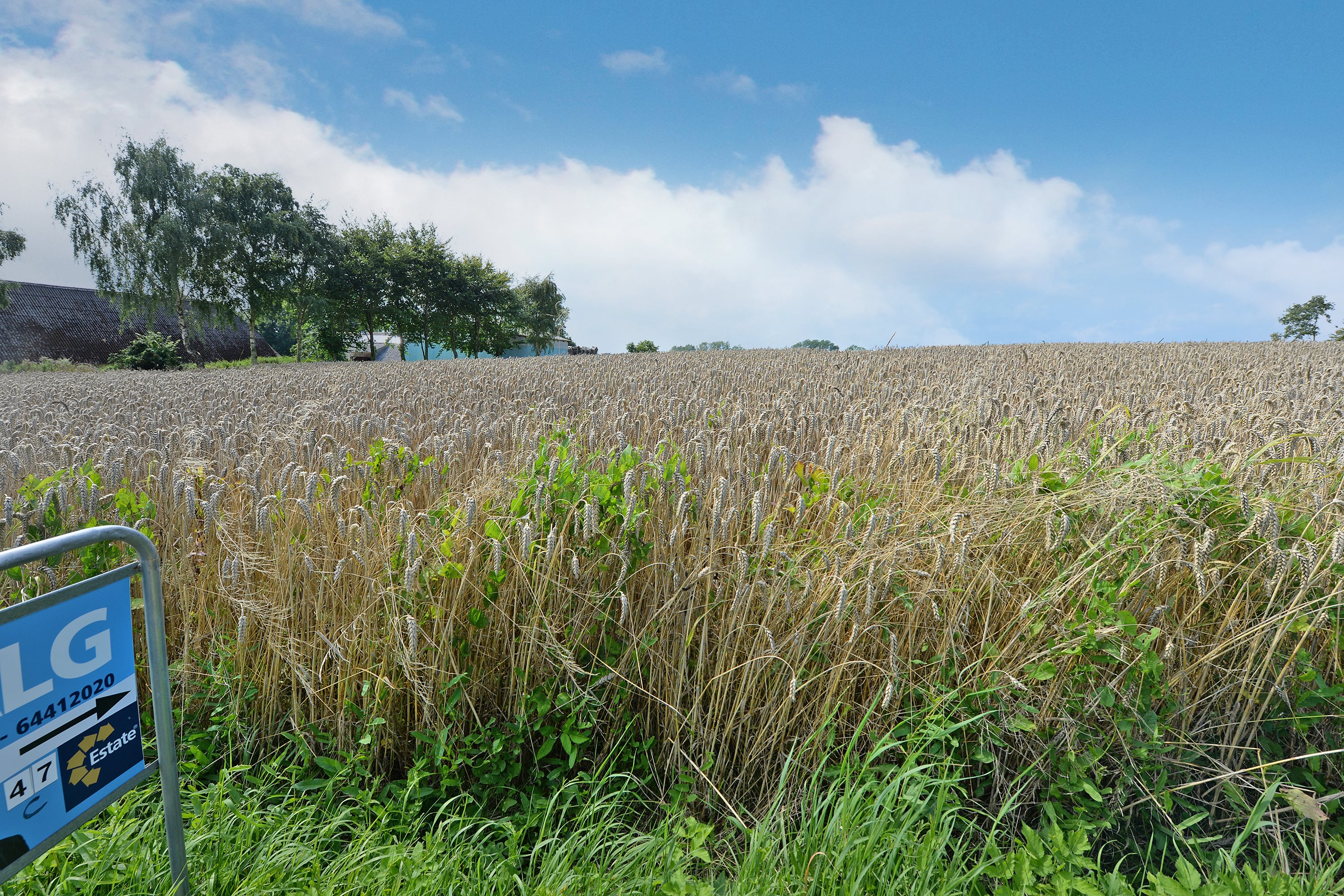 Fremhævet byggegrund billede i fuldskærmstilstand. Billede af Vejlbyvej 47, Vejlby, 5500 Middelfart