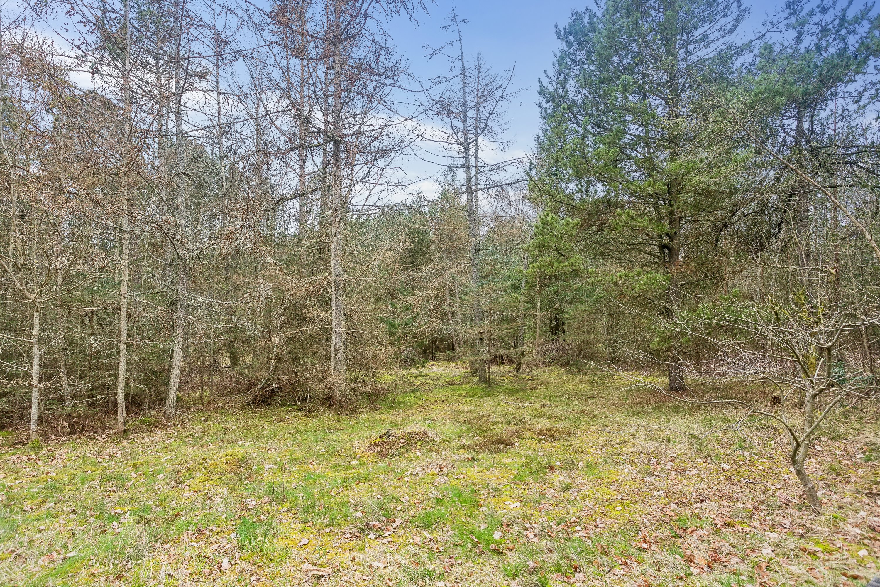 Fremhævet  billede i fuldskærmstilstand. Billede af Høstvejen 6, Vesterø, 9940 Læsø