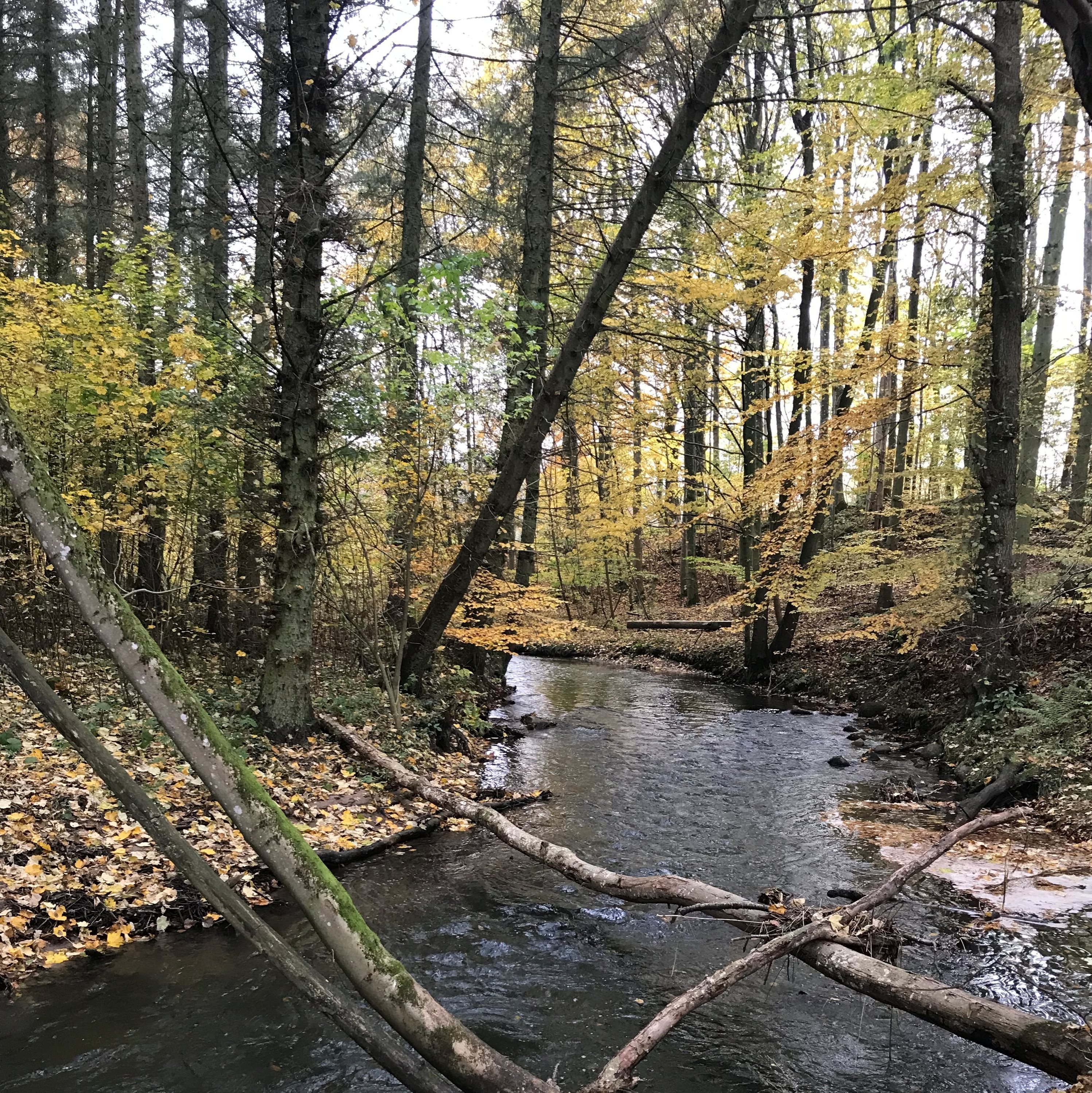 Fremhævet udendørs billede i fuldskærmstilstand. Billede af Højkildevej 11, Ørum, 8721 Daugård