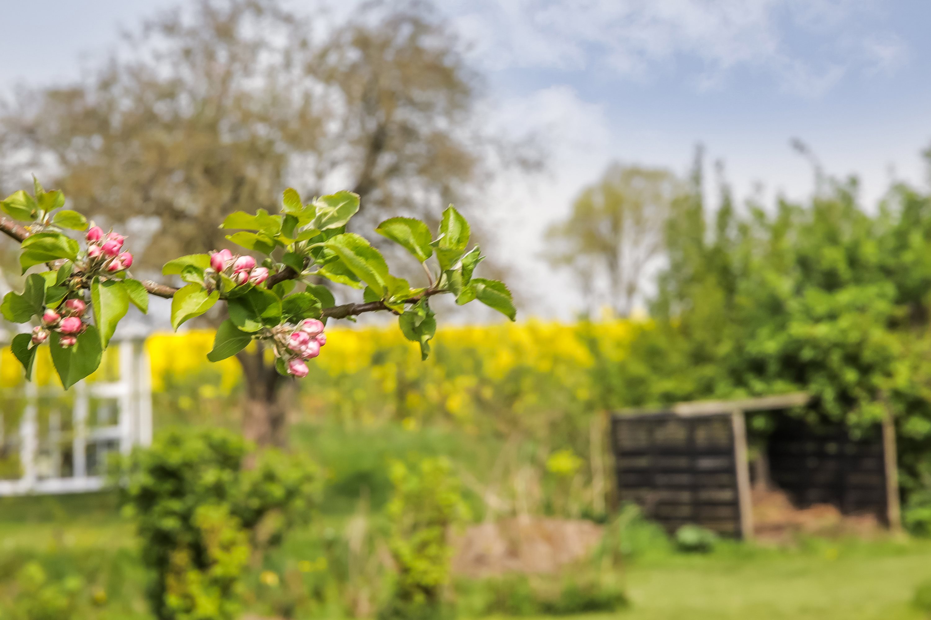 Fremhævet ejendommen billede i fuldskærmstilstand. Billede af Byvej 17, Sdr Longelse, 5900 Rudkøbing