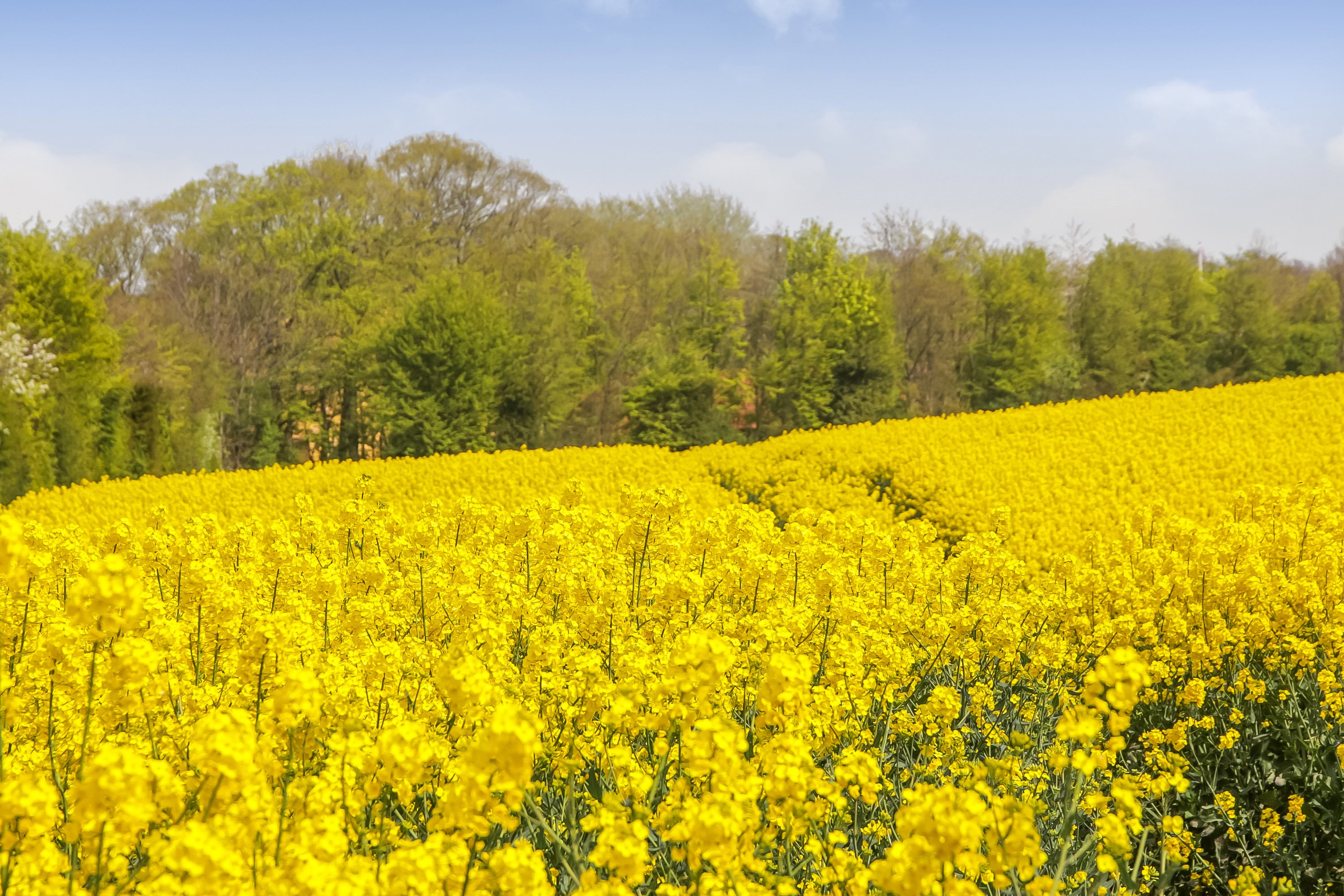 Fremhævet område billede i fuldskærmstilstand. Billede af Byvej 17, Sdr Longelse, 5900 Rudkøbing