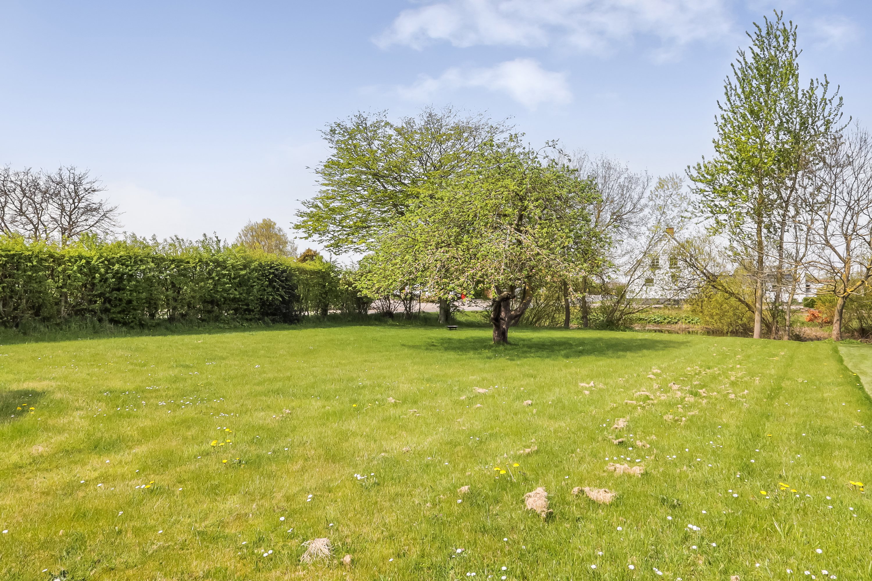 Fremhævet have billede i fuldskærmstilstand. Billede af Byvej 17, Sdr Longelse, 5900 Rudkøbing