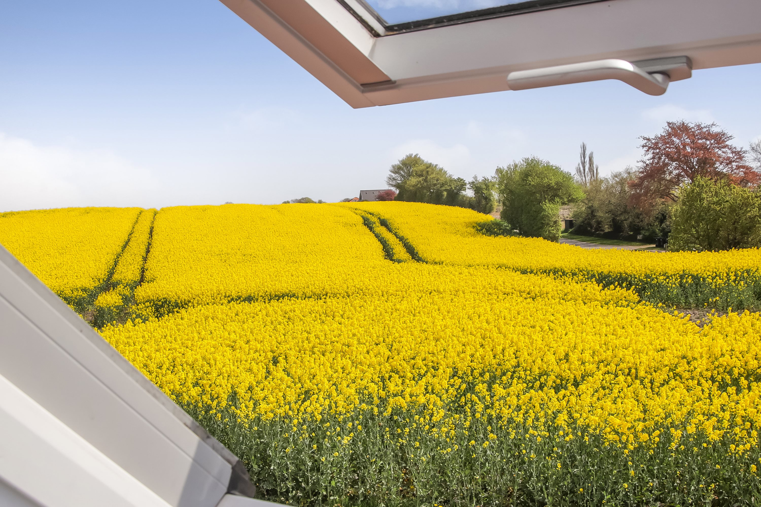 Fremhævet område billede i fuldskærmstilstand. Billede af Byvej 17, Sdr Longelse, 5900 Rudkøbing