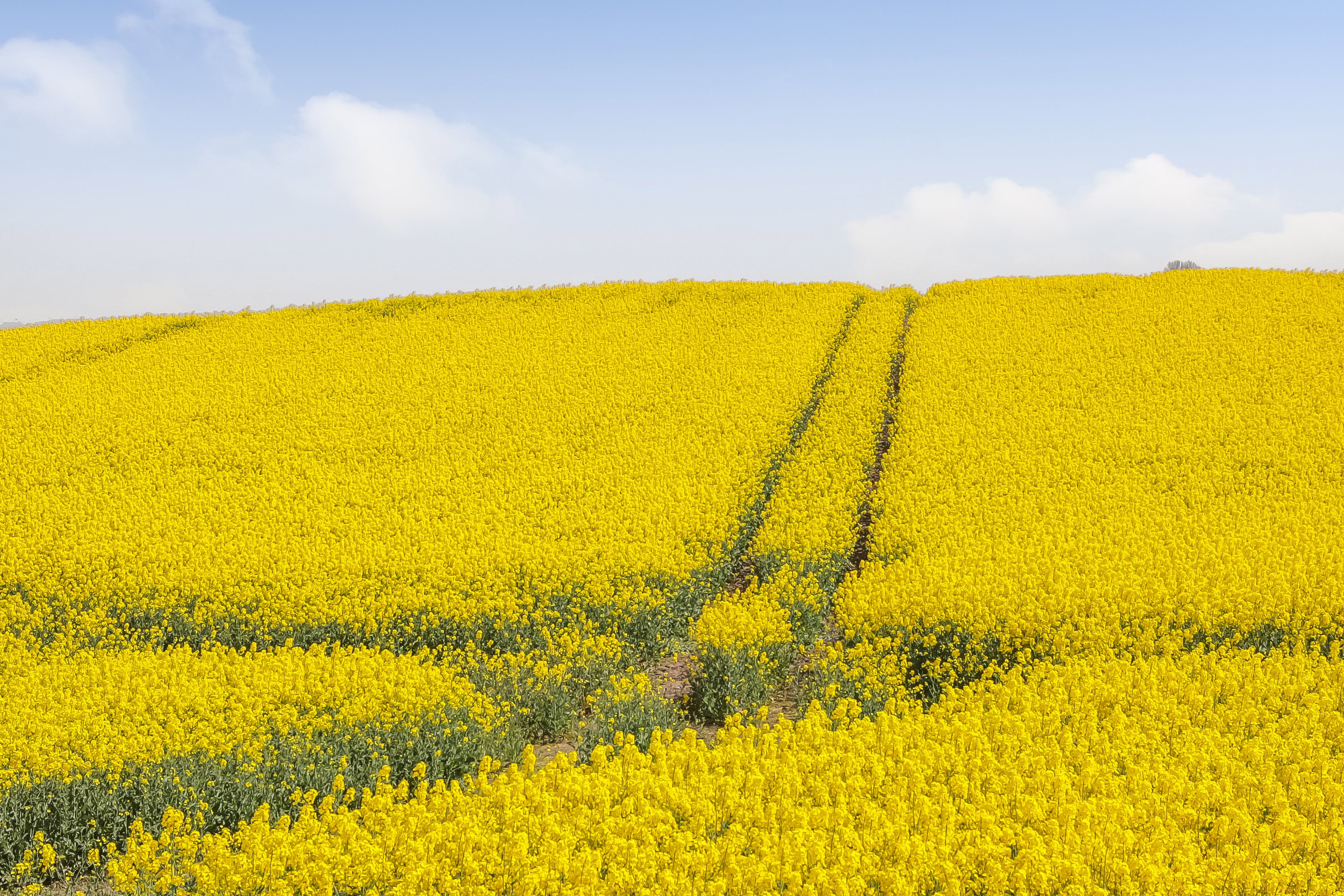 Fremhævet område billede i fuldskærmstilstand. Billede af Byvej 17, Sdr Longelse, 5900 Rudkøbing
