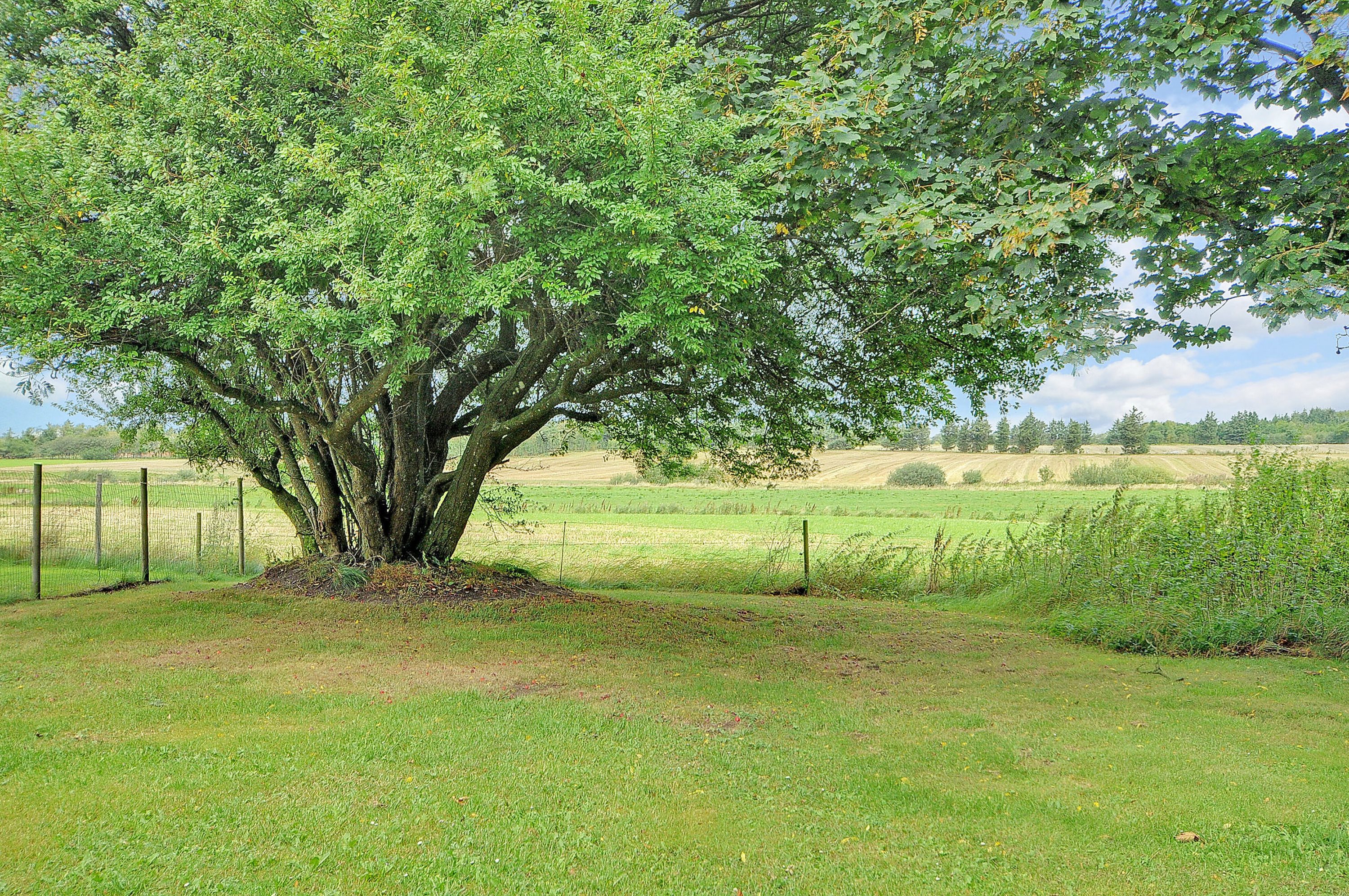 Fremhævet andet billede i fuldskærmstilstand. Billede af Høevej 2, Ilsted, 6740 Bramming