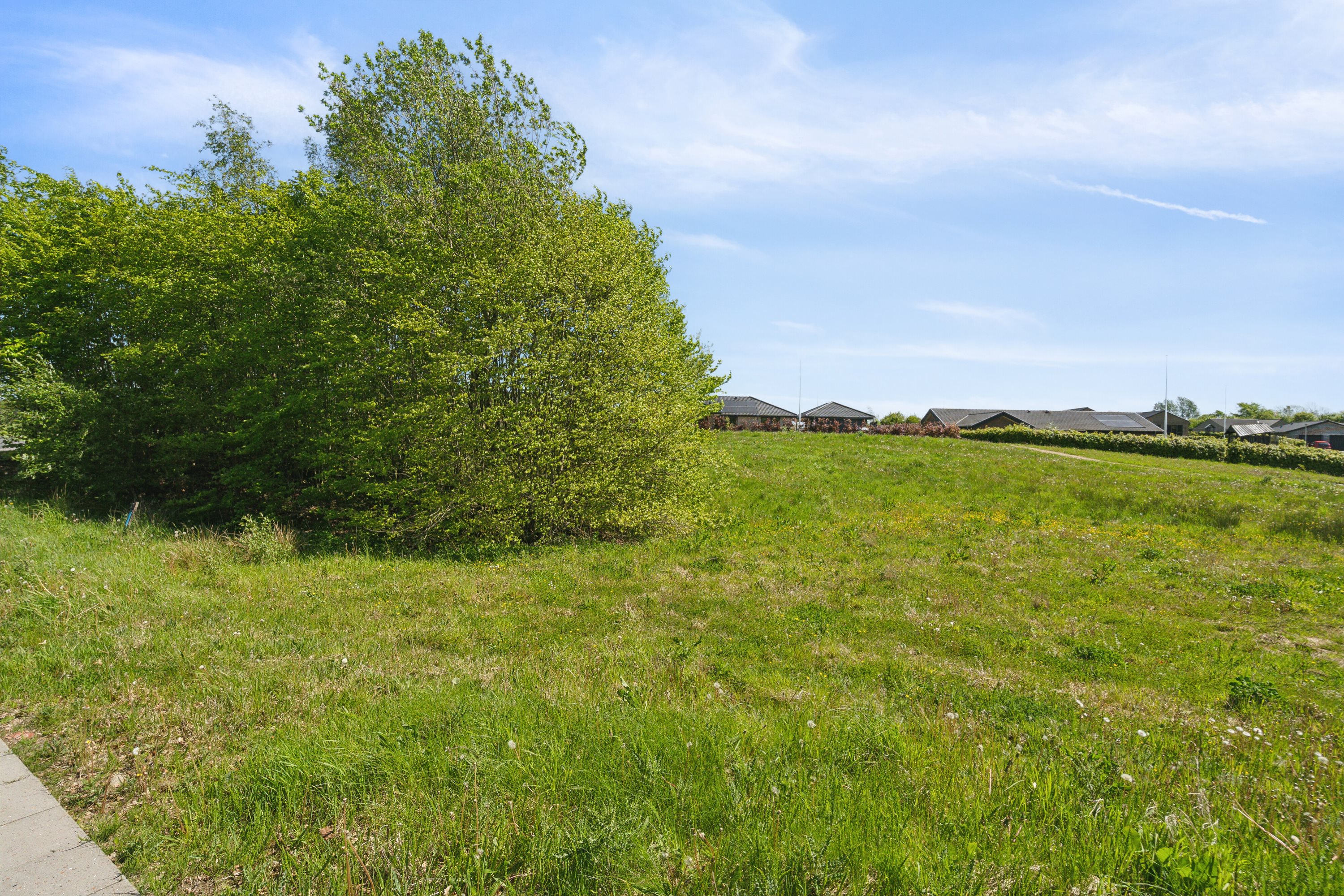Fremhævet have billede i fuldskærmstilstand. Billede af Vinkelgårdsvej 43, parcel nr. 19, 6040 Egtved