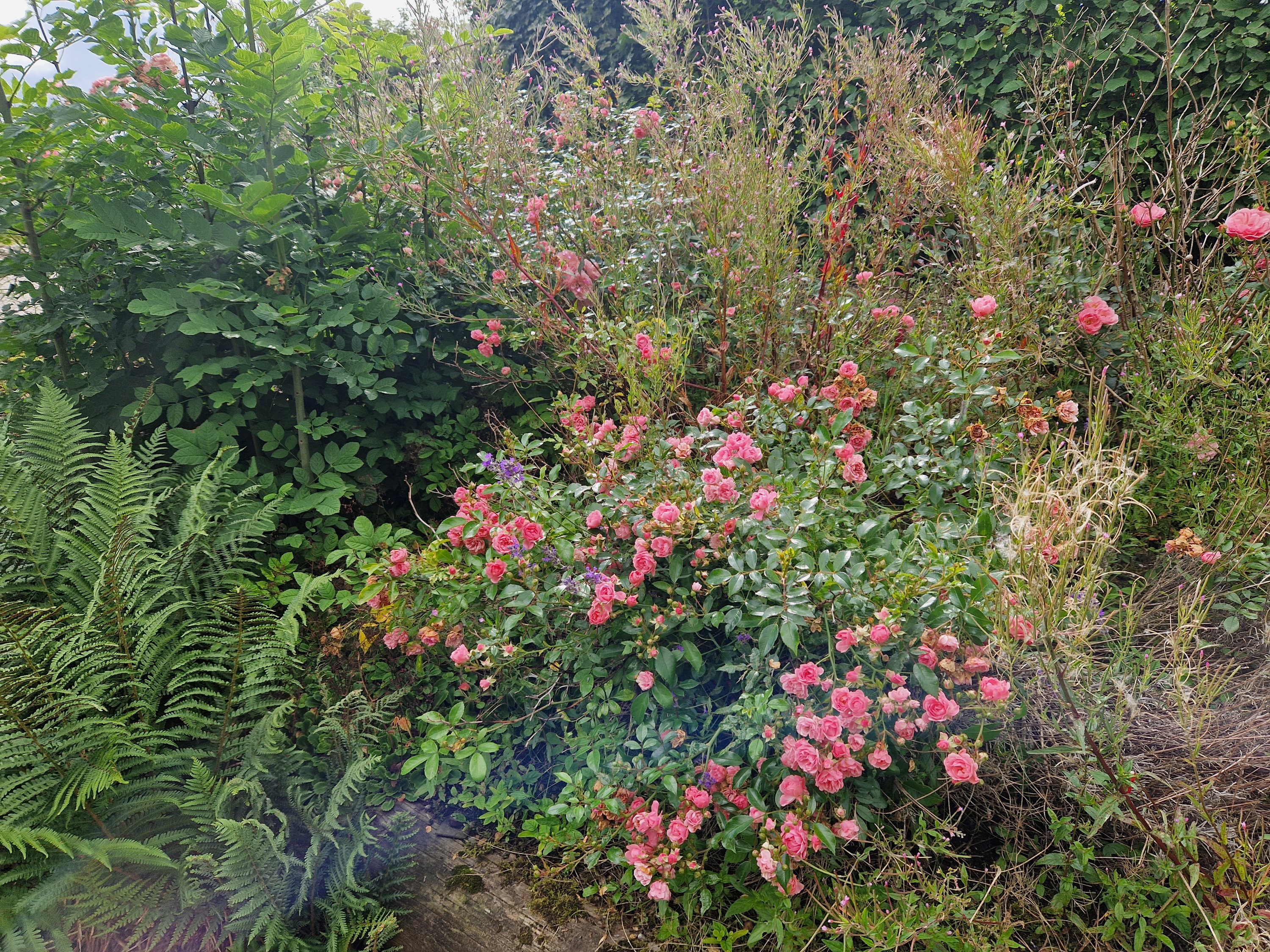 Fremhævet andet billede i fuldskærmstilstand. Billede af Vorupørvej 226, Hundborg, 7700 Thisted