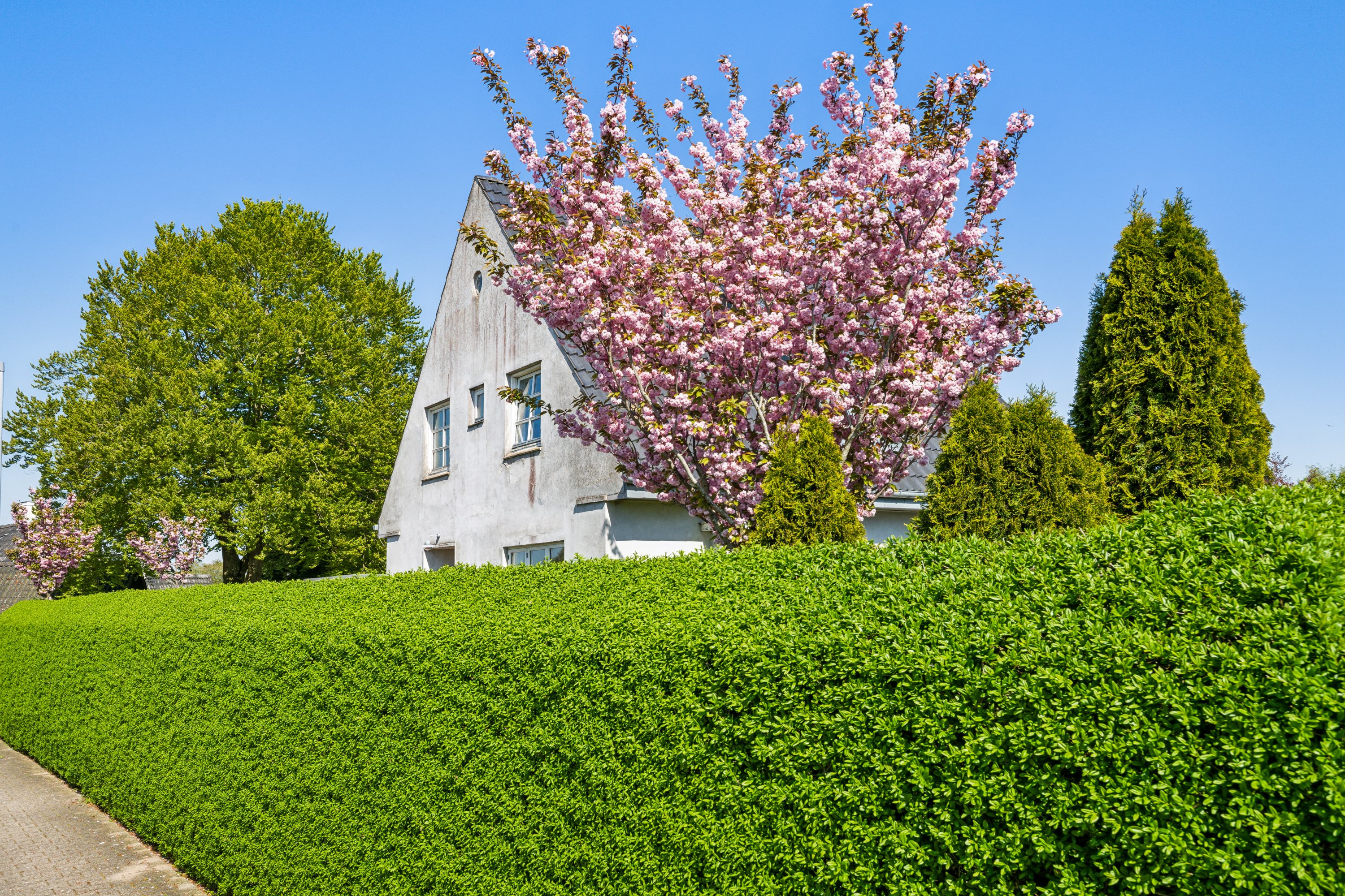 Fremhævet ejendom 1 billede i fuldskærmstilstand. Billede af Saksenballe 21, Nr Broby, 5672 Broby