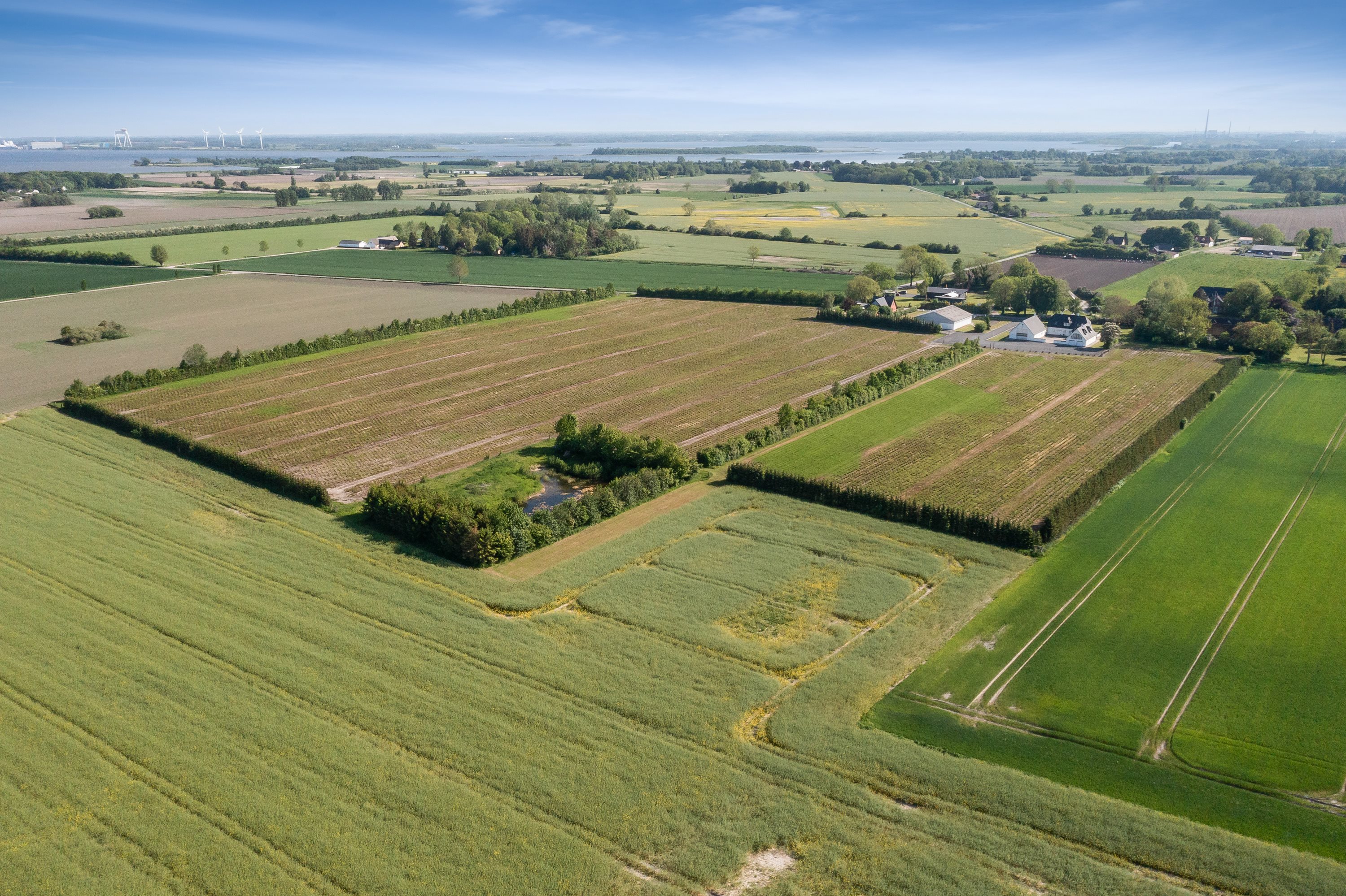 Fremhævet luftfoto billede i fuldskærmstilstand. Billede af Hessum Bygade 54, 5450 Otterup
