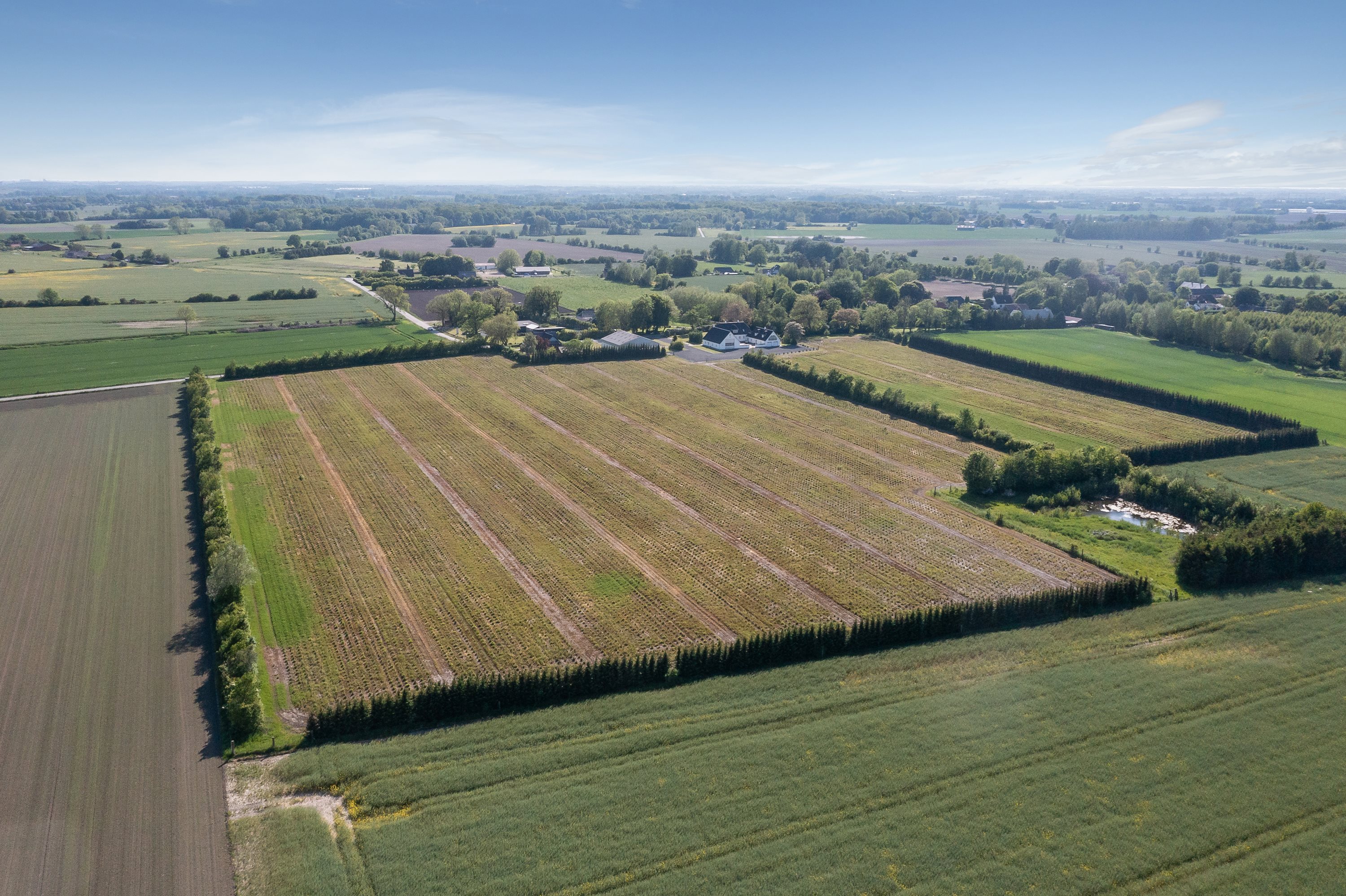 Fremhævet luftfoto billede i fuldskærmstilstand. Billede af Hessum Bygade 54, 5450 Otterup