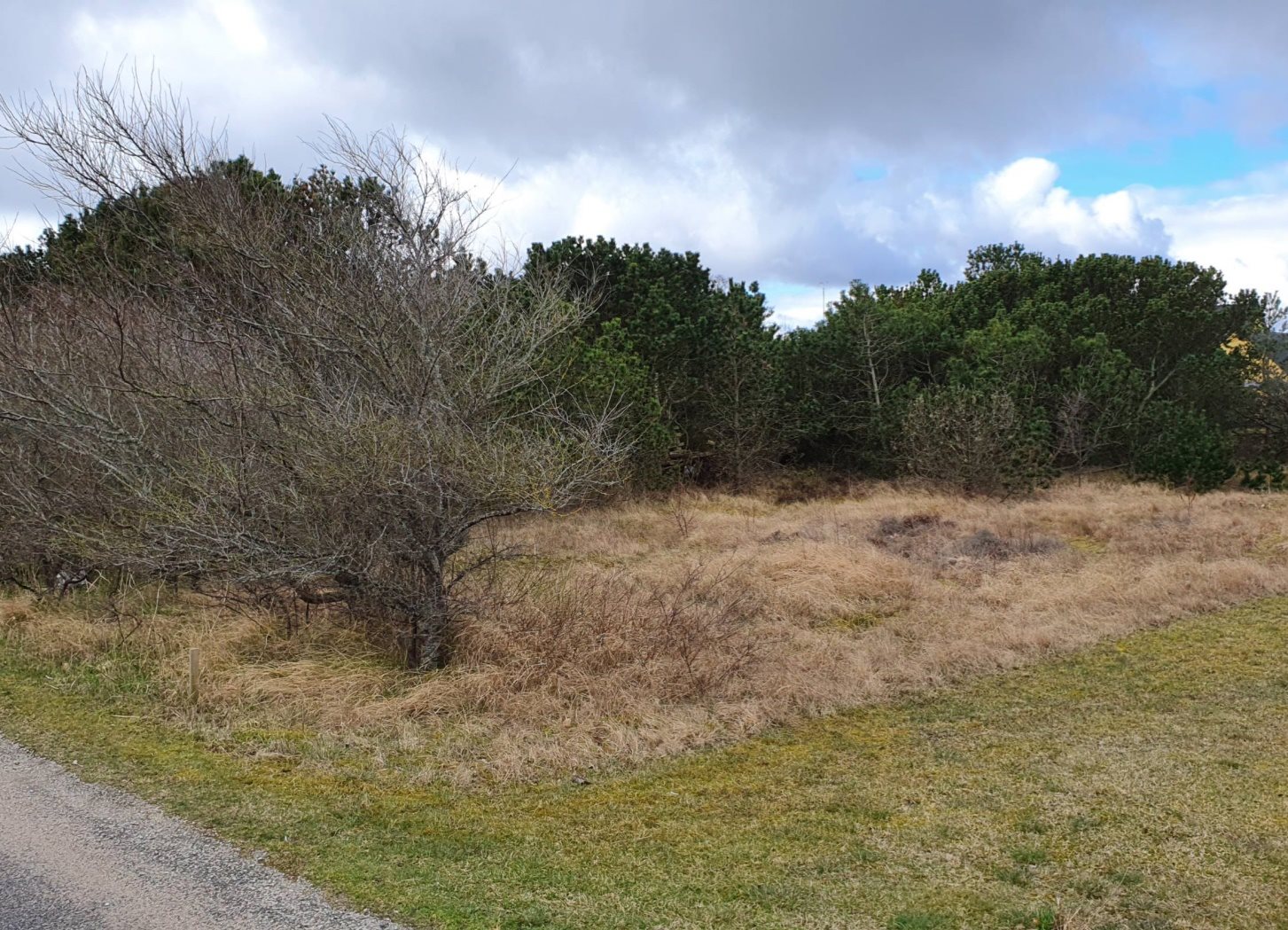 Miniaturebillede 2: andet. Billede af Rylevej 3, Østerby Havn, 9940 Læsø