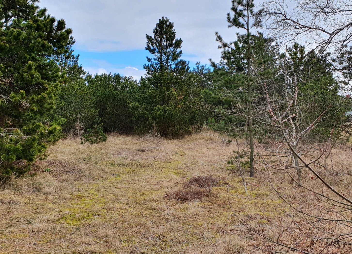 Fremhævet andet billede i fuldskærmstilstand. Billede af Rylevej 3, Østerby Havn, 9940 Læsø