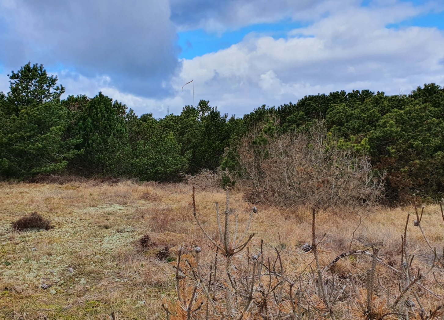 Fremhævet andet billede i fuldskærmstilstand. Billede af Rylevej 3, Østerby Havn, 9940 Læsø