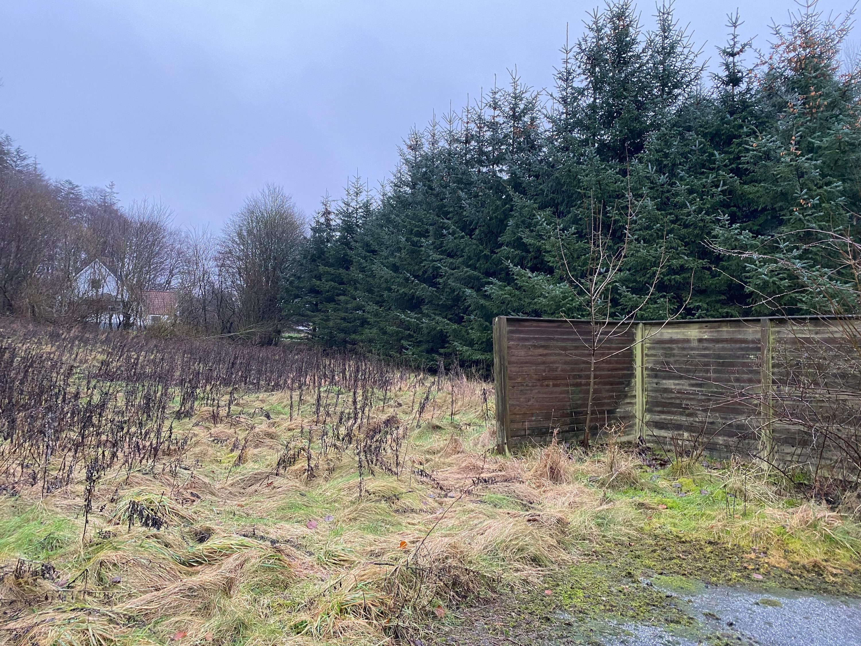 Miniaturebillede 1: andet. Billede af Sæby Landevej 5, 9830 Tårs