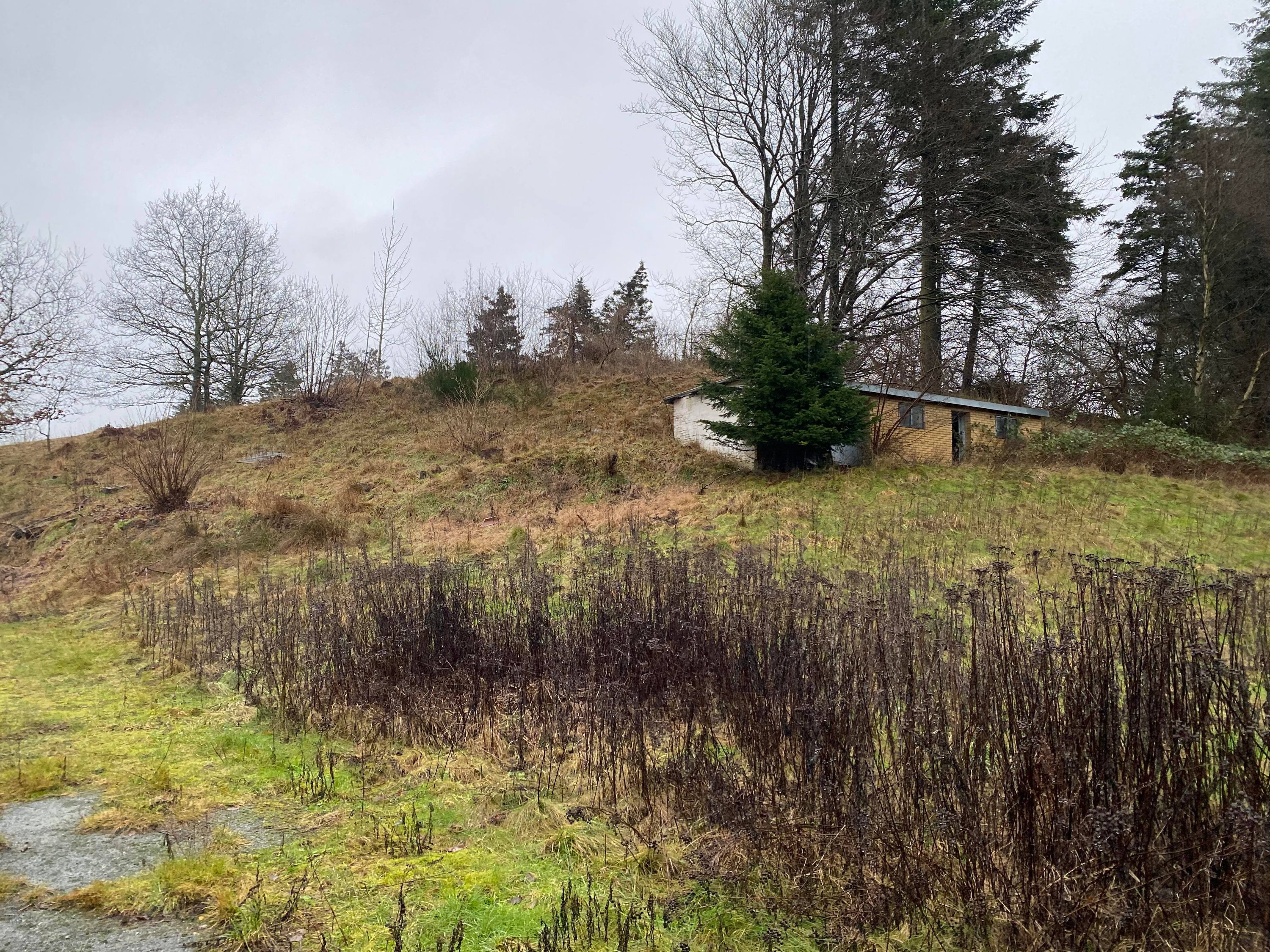 Miniaturebillede 2: andet. Billede af Sæby Landevej 5, 9830 Tårs