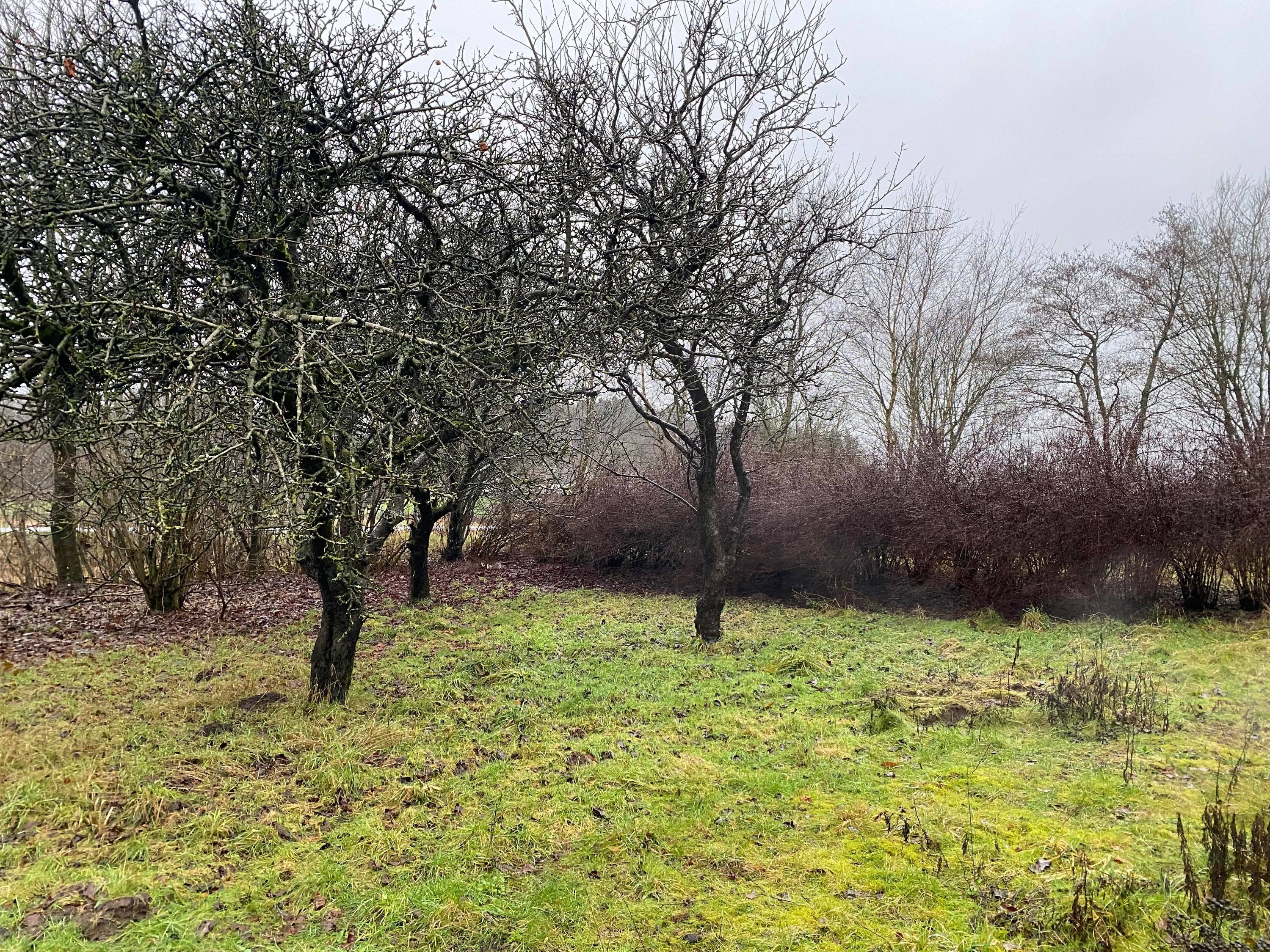 Fremhævet andet billede i fuldskærmstilstand. Billede af Sæby Landevej 5, 9830 Tårs