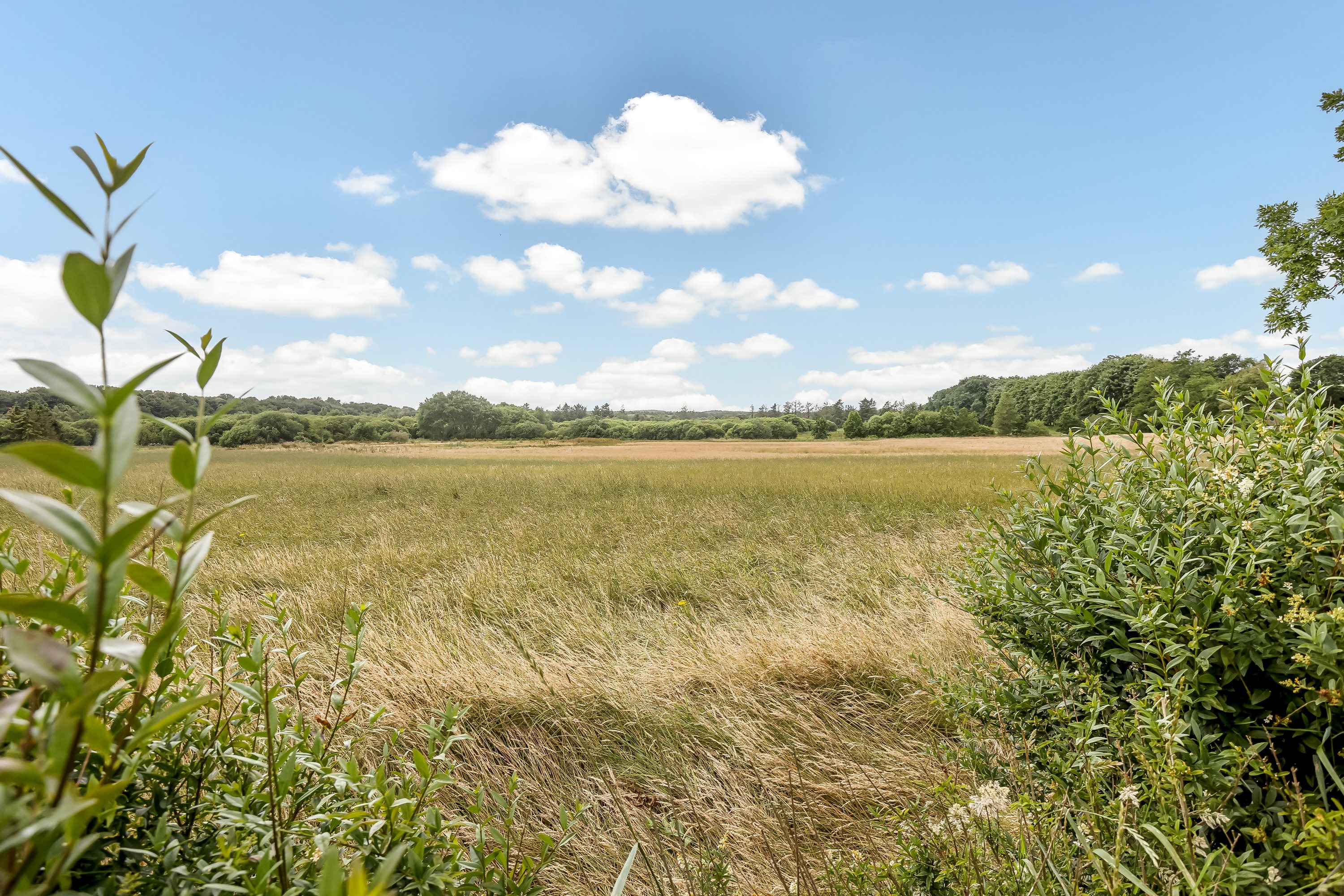 Fremhævet ejendommen billede i fuldskærmstilstand. Billede af Bækkegårdsvej 9, Sparkær, 8800 Viborg